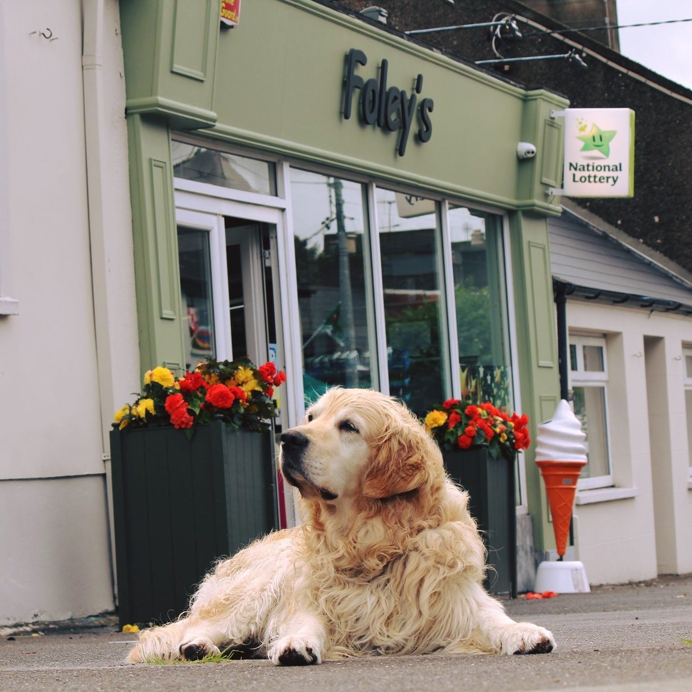 Foley's Express Food Store in Mallow, Co Cork