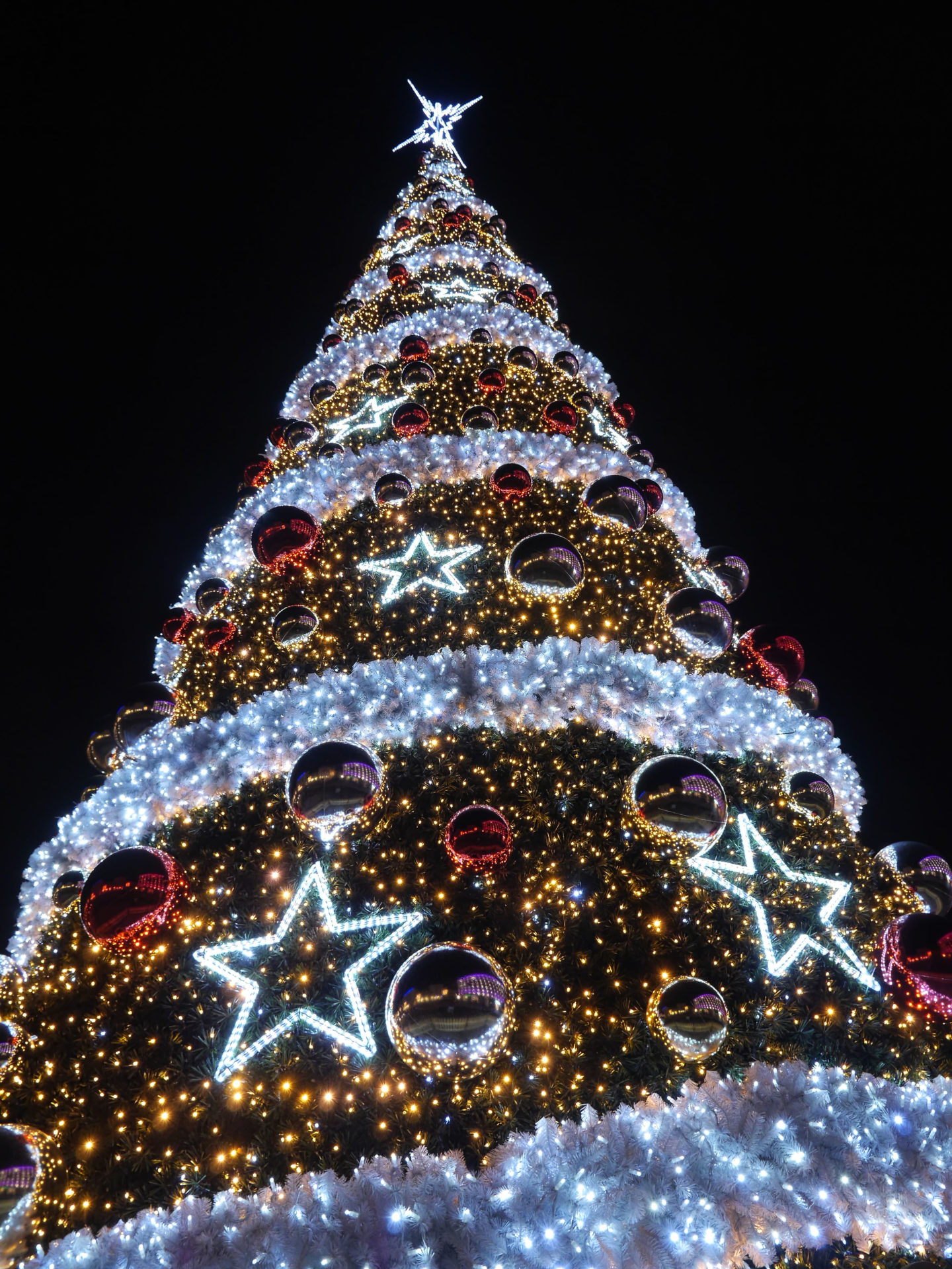 An outdoor Christmas tree illuminated at night, 19-12-13.