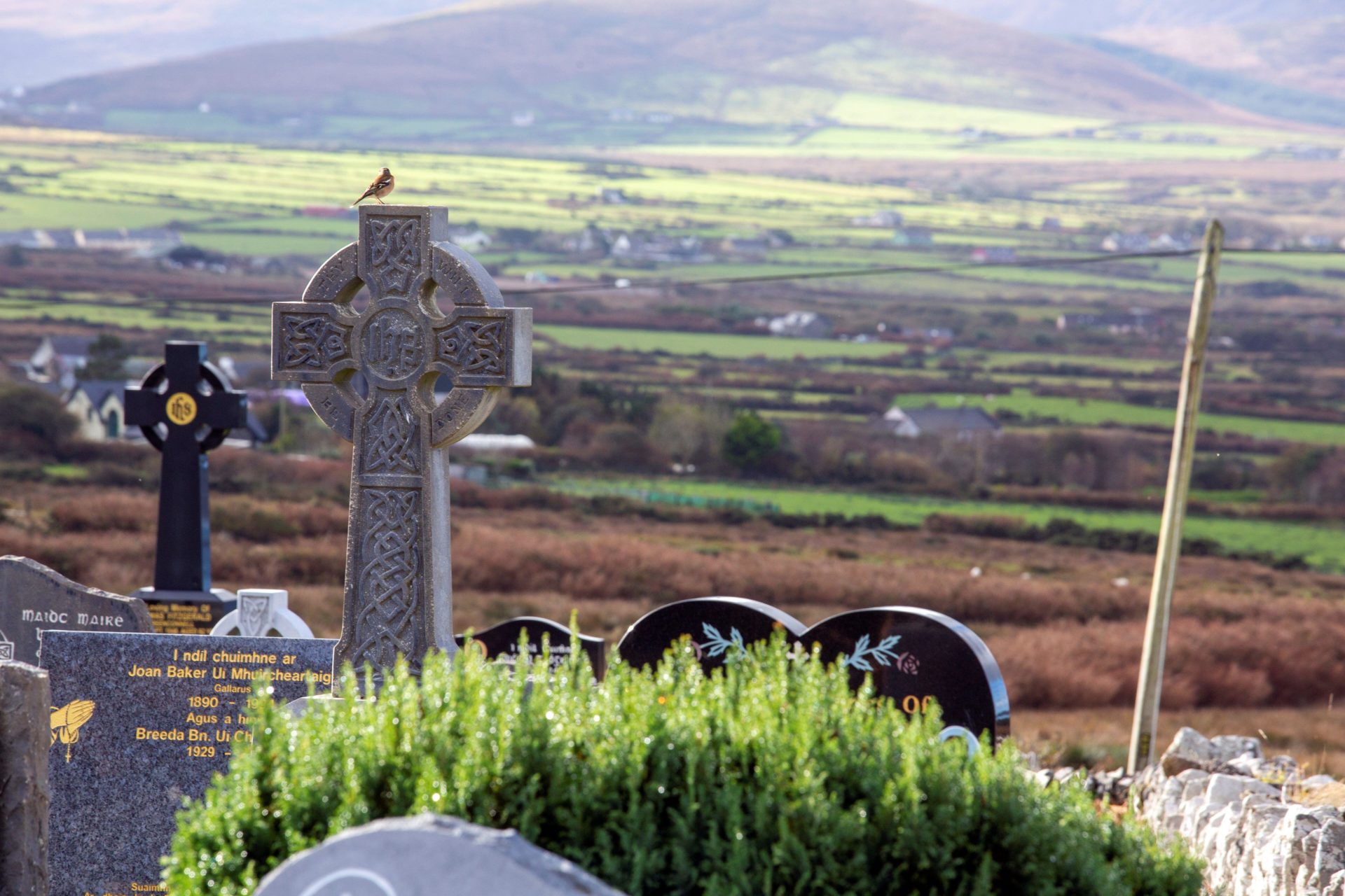 Main image is a file photo of gravestones at a cemetery in County Kerry.