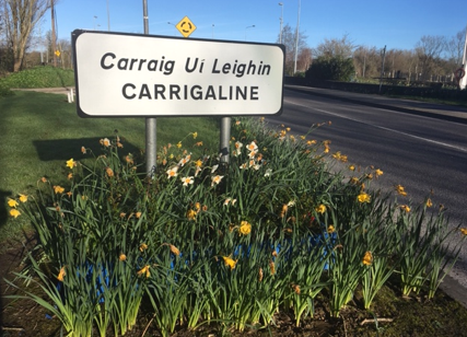 Cork's largest town is continuing to play catch up in terms of infrastructure and amenity spaces - Vimarsana News