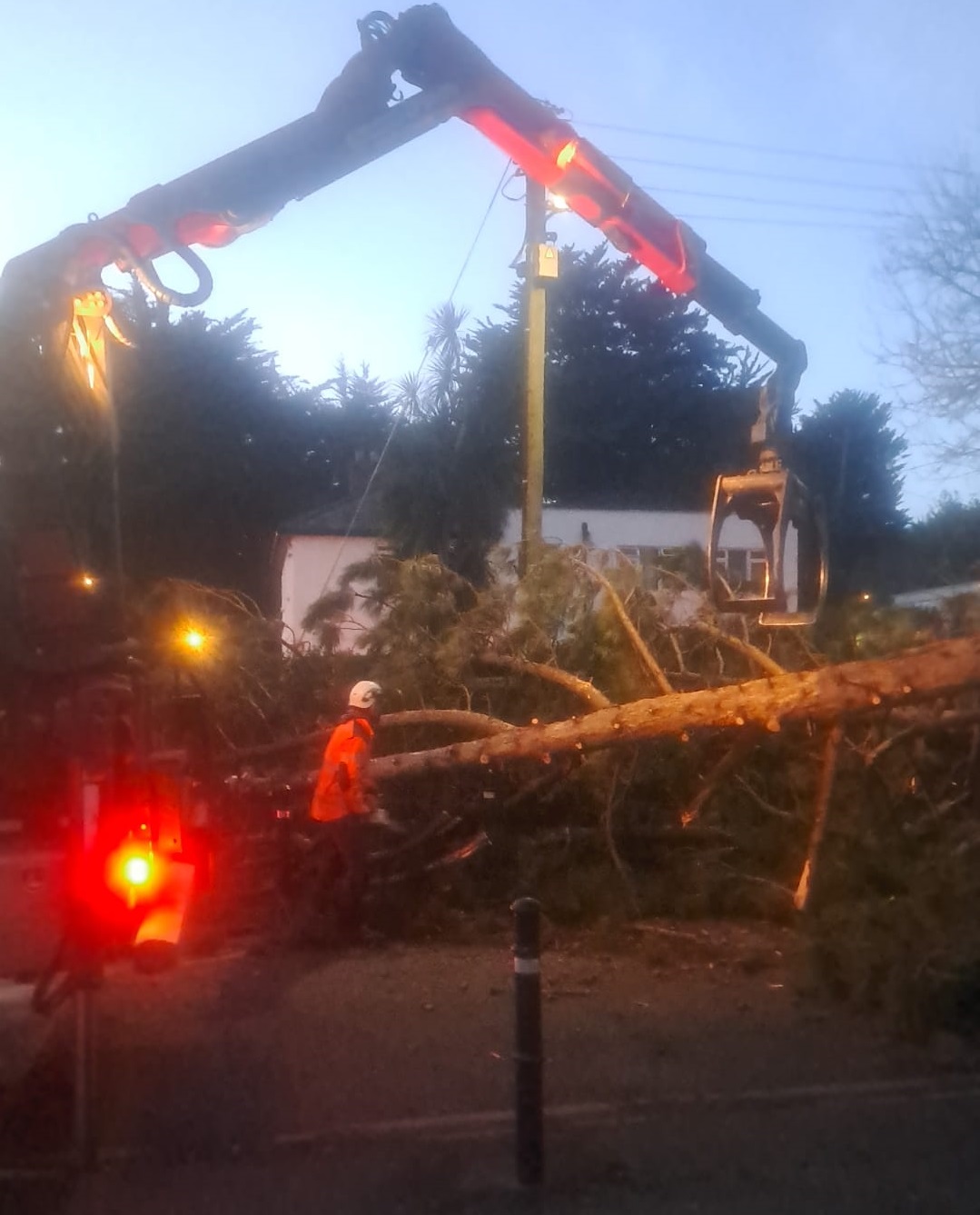 Workers clear a fallen tree from Merville Road, Stillorgan in Dublin, 22-1-24