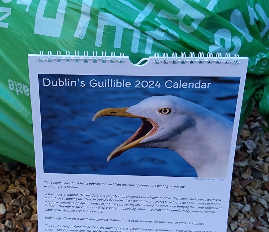 How a calendar of bin bags and seagulls could change Dublin Newstalk