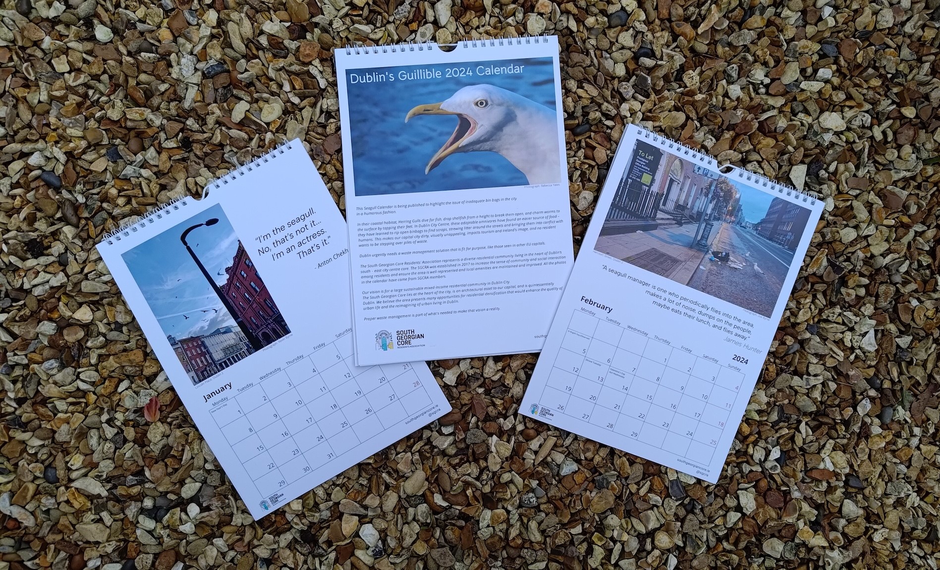 Seagull calendar. 