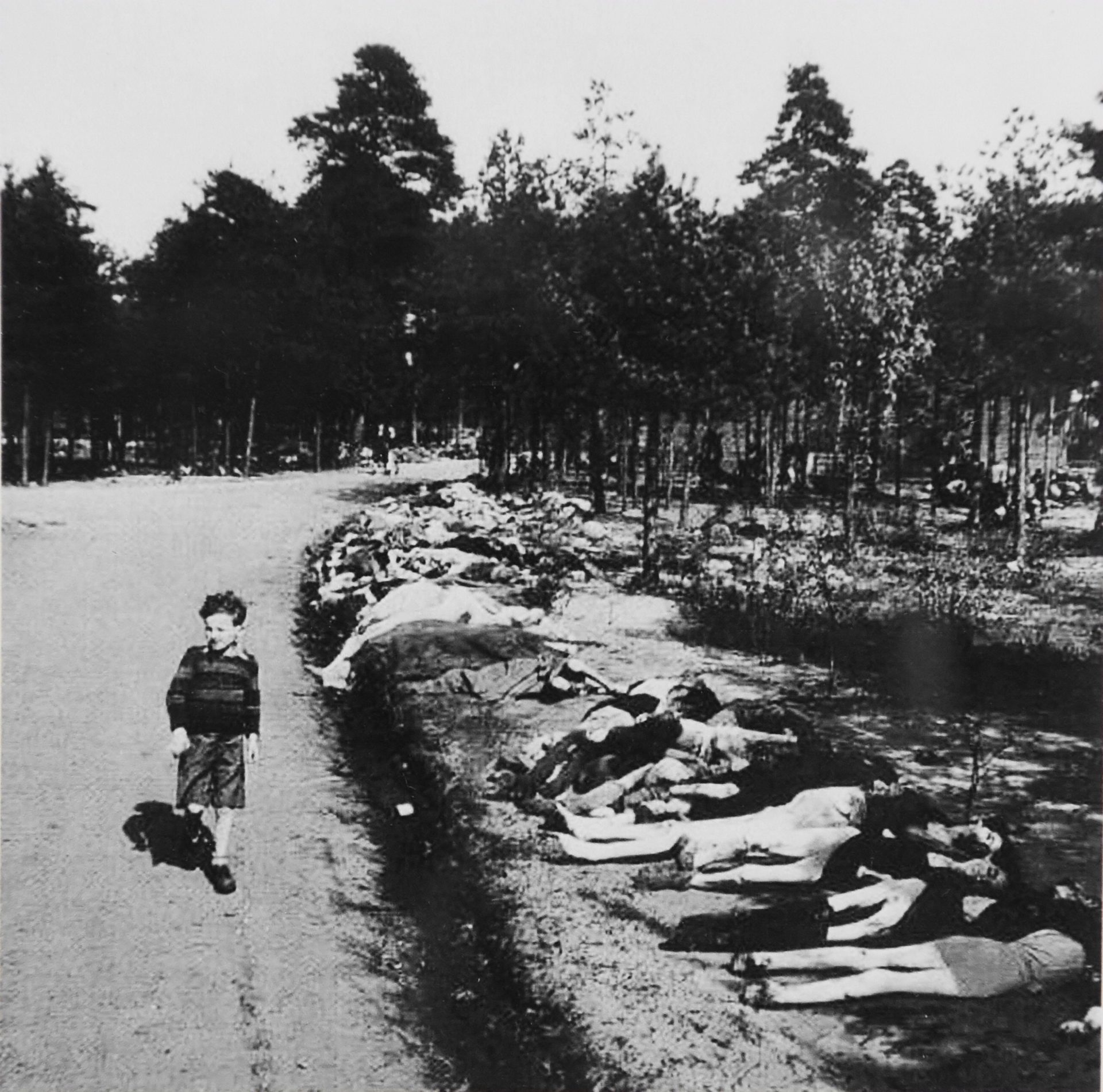 A child passes through a road lined with the dead from Bergen-Belsen Concentration Camp in 1945.