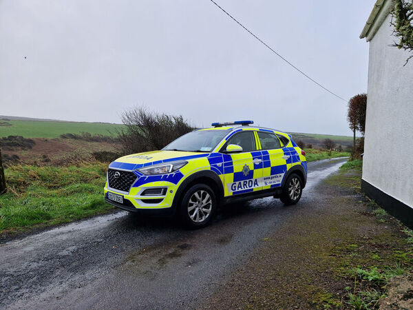 Woman arrested after young boy found dead in car in Waterford - Vimarsana News