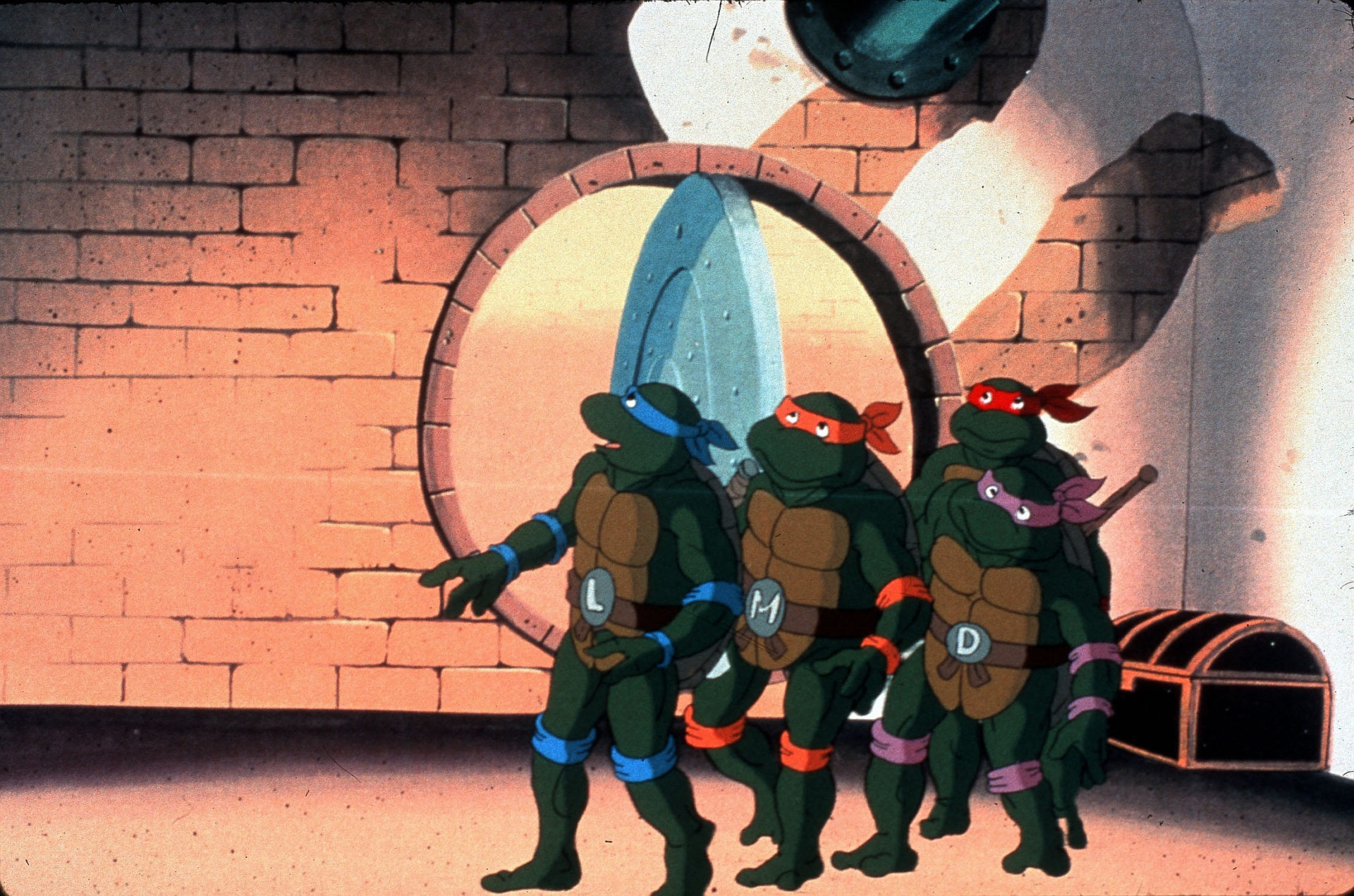 The Teenage Mutant Ninja Turtles.