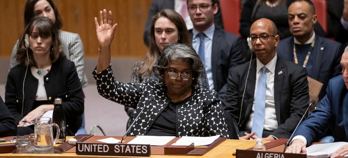 US Ambassador Linda Thomas-Greenfield to the UN votes against a draft resolution at a Security Council meeting on Palestine, 20-2-24.