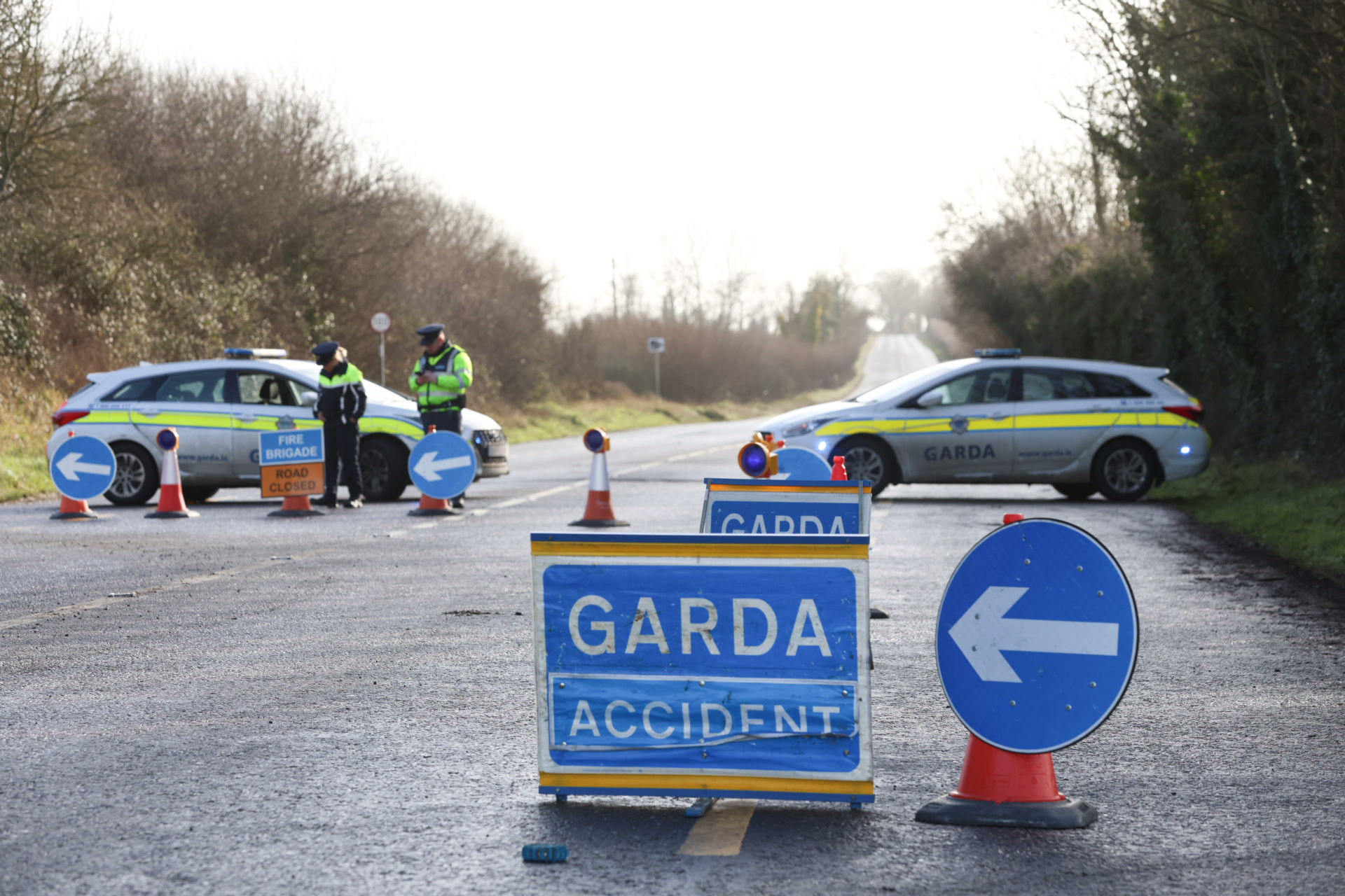 Gardaí at the scene of a crash that killed three people in County Carlow
