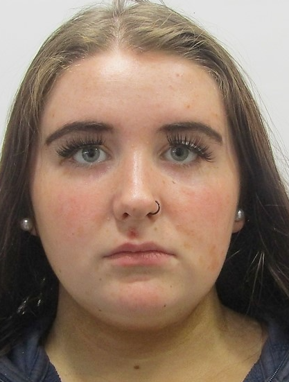 Gardaí seek help to find missing 17-year-old girl - Vimarsana News