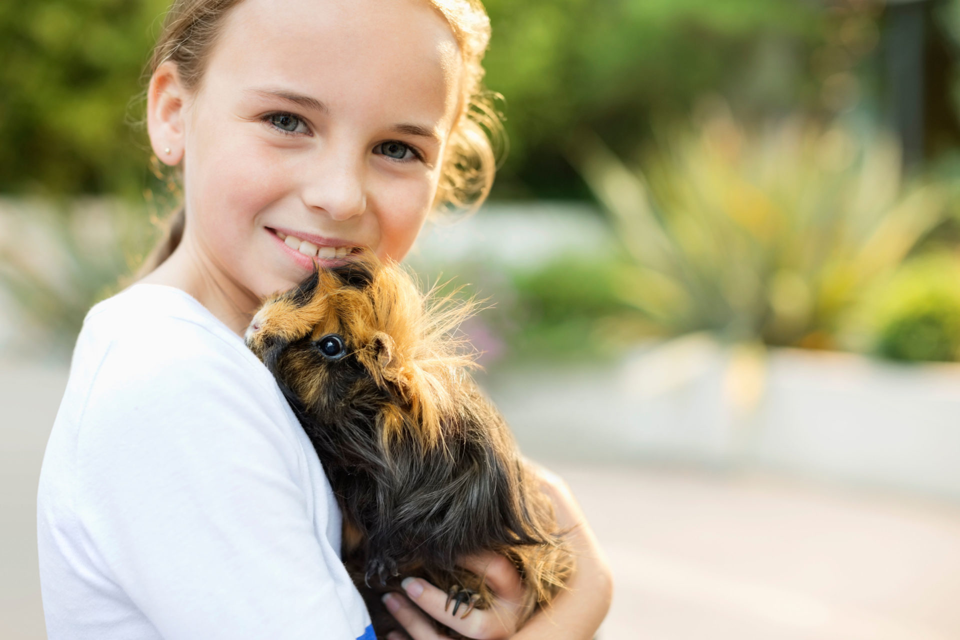 ‘Fabulous pets for children’ – Here’s why you should get a guinea pig