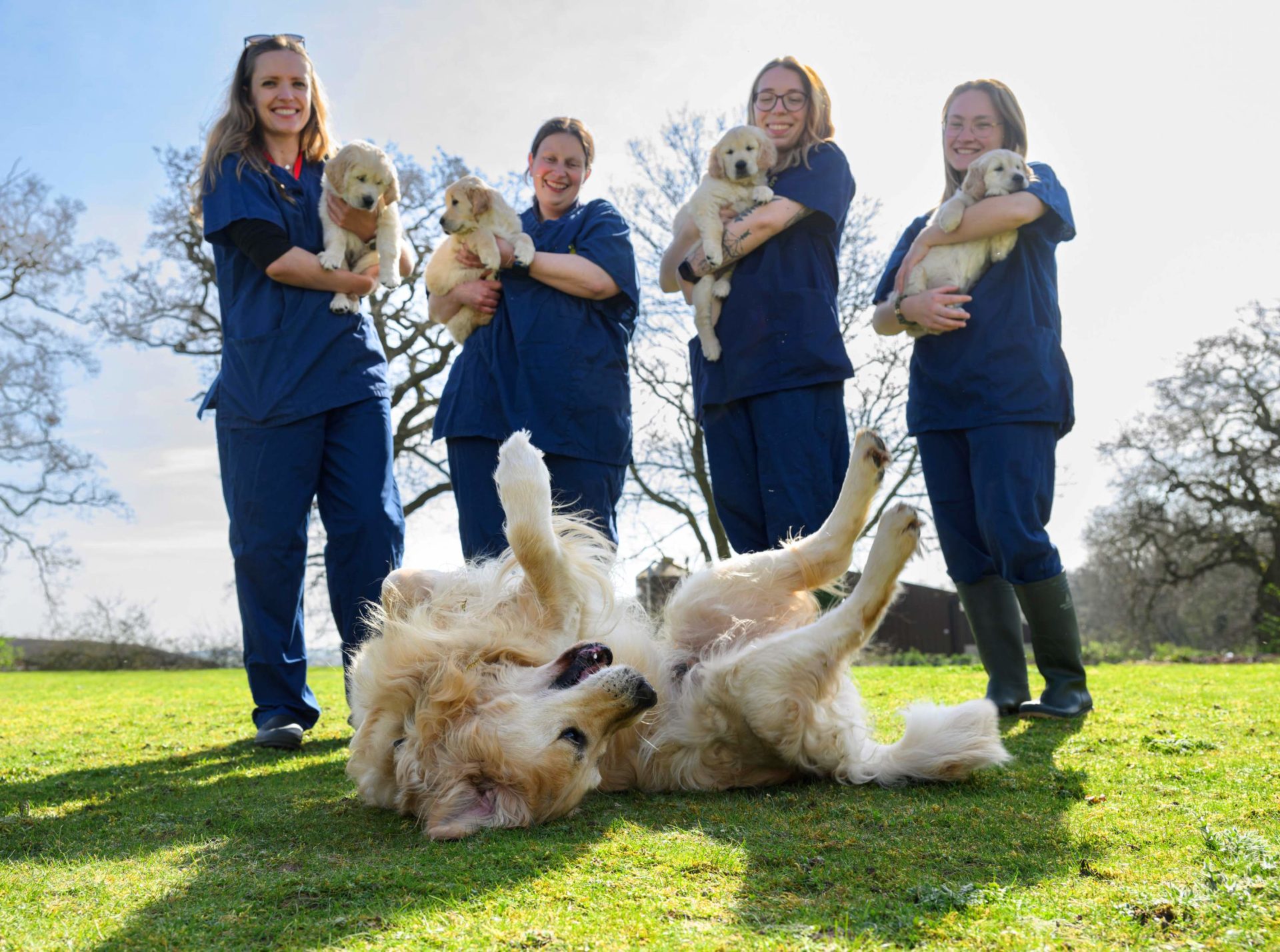Trigger with four of his 8-week old puppies. Photo: guidedogs.org.uk