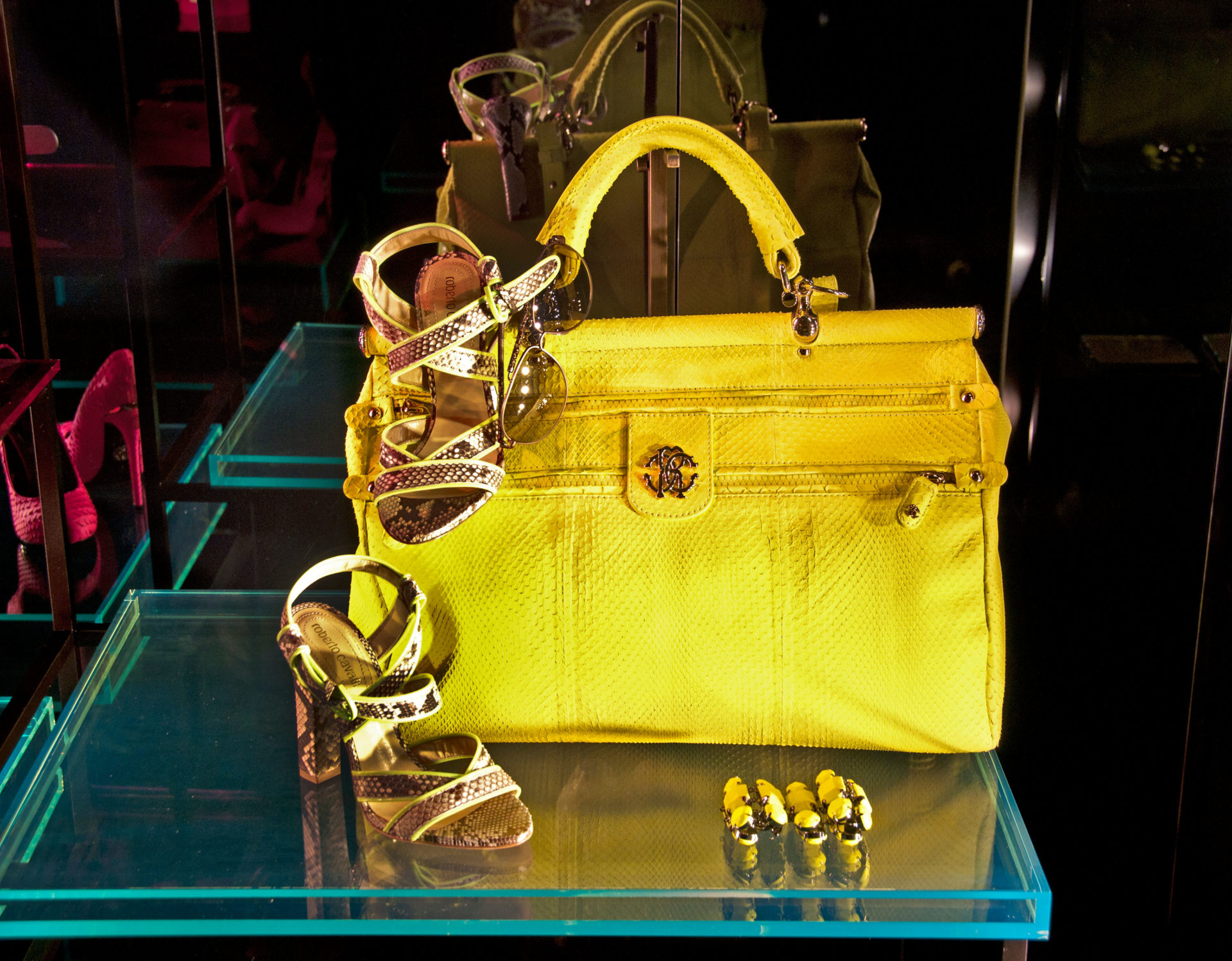 A Roberto Cavalli handbag is seen in Paris, 21-1-12. 