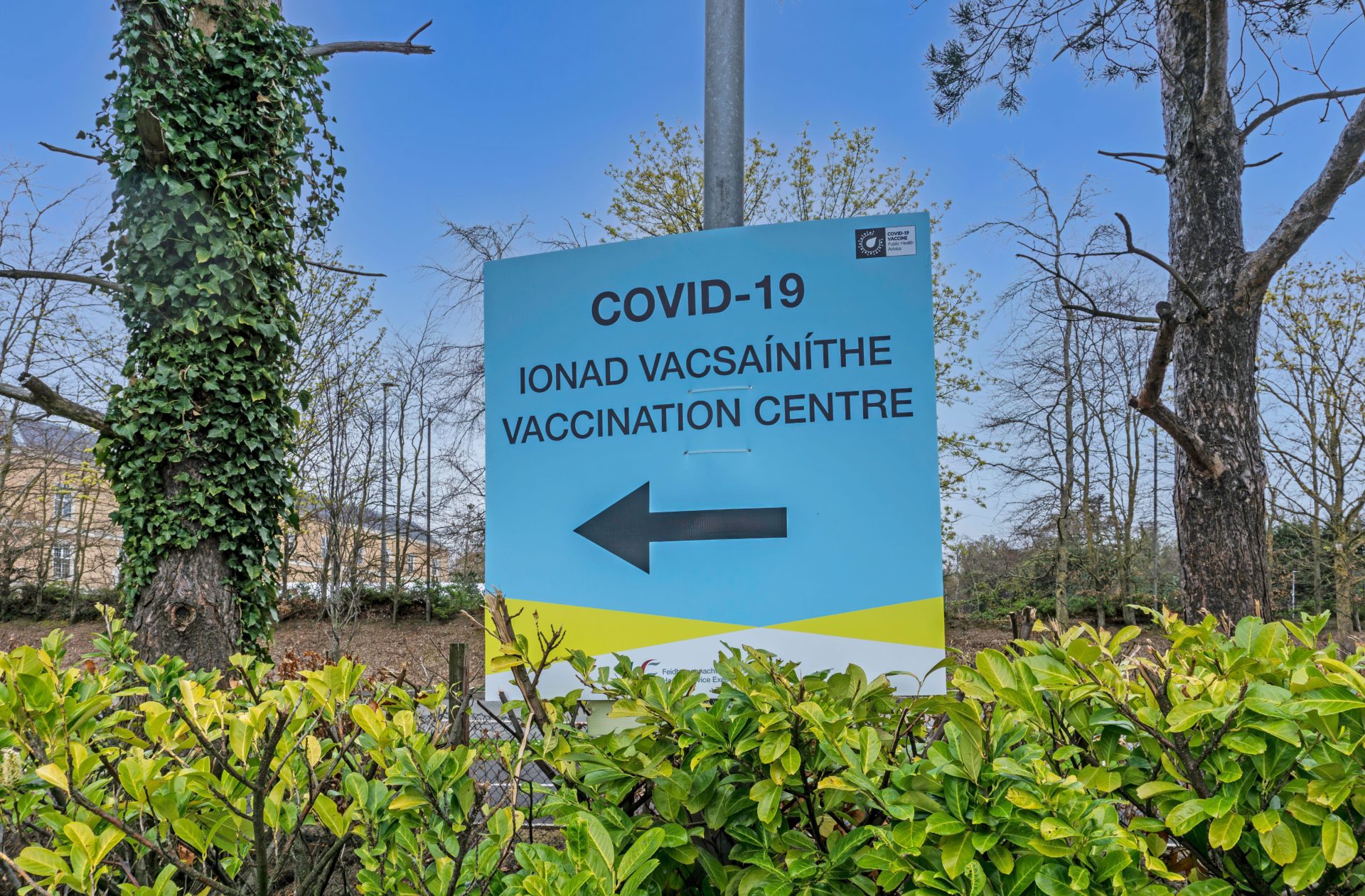 COVID still causing 'hospitalisations and death' as HSE launches vaccine campaign