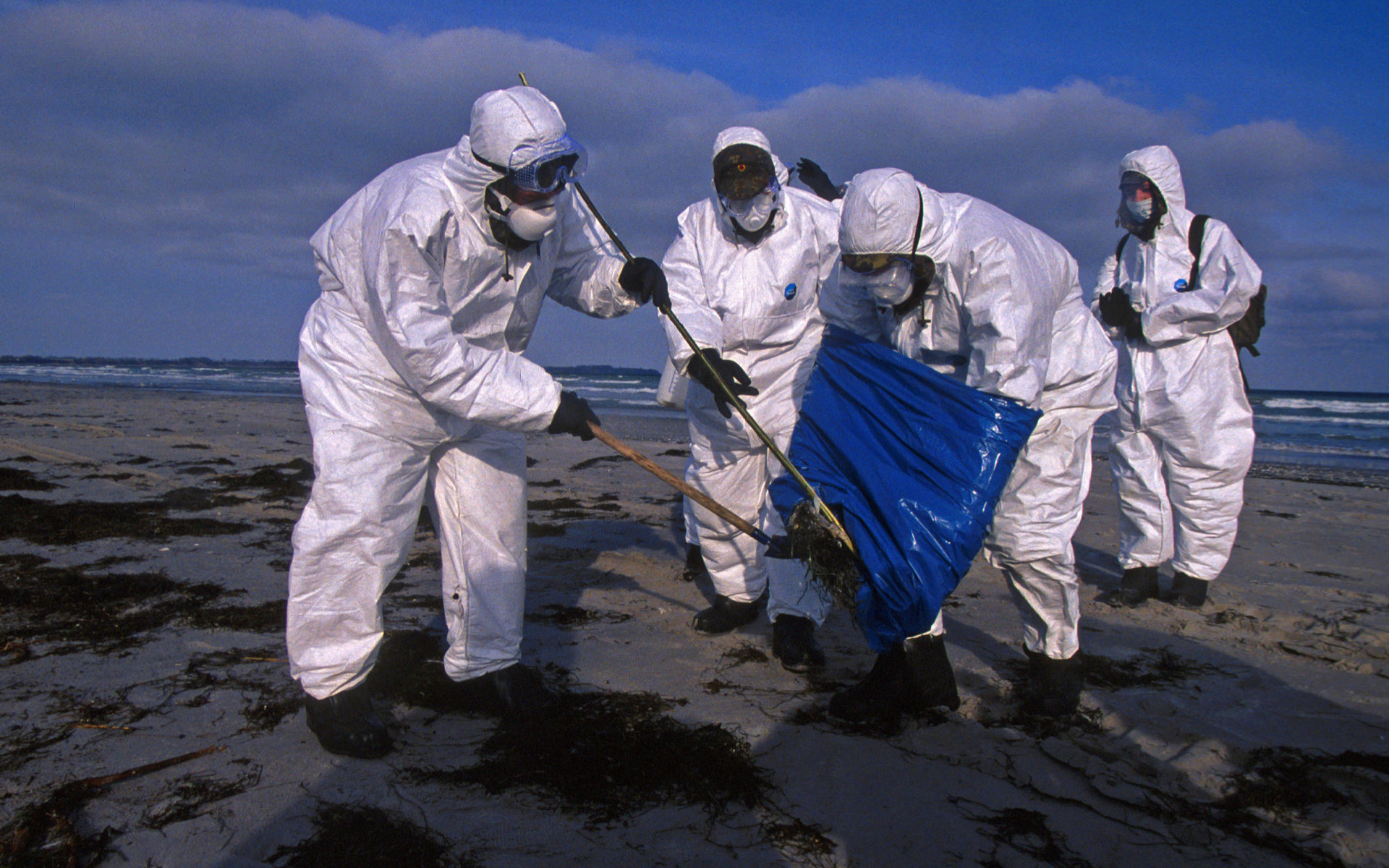 epidemiologists in protective suits are collecting a dead bird from the sea beach in the course of the spreading of the bird flu, Germany,