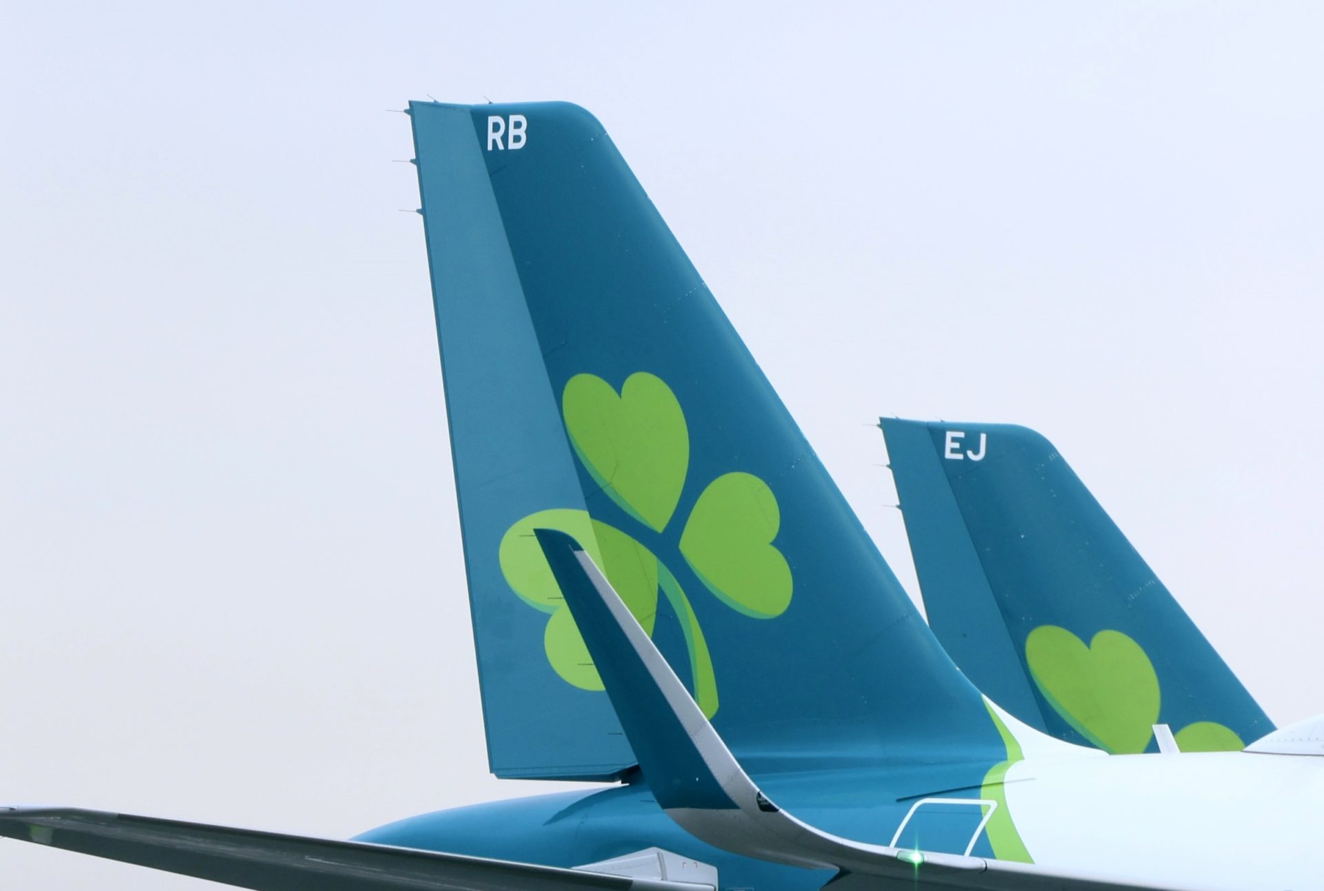 Aer Lingus planes at Dublin Airport, 3-1-24.