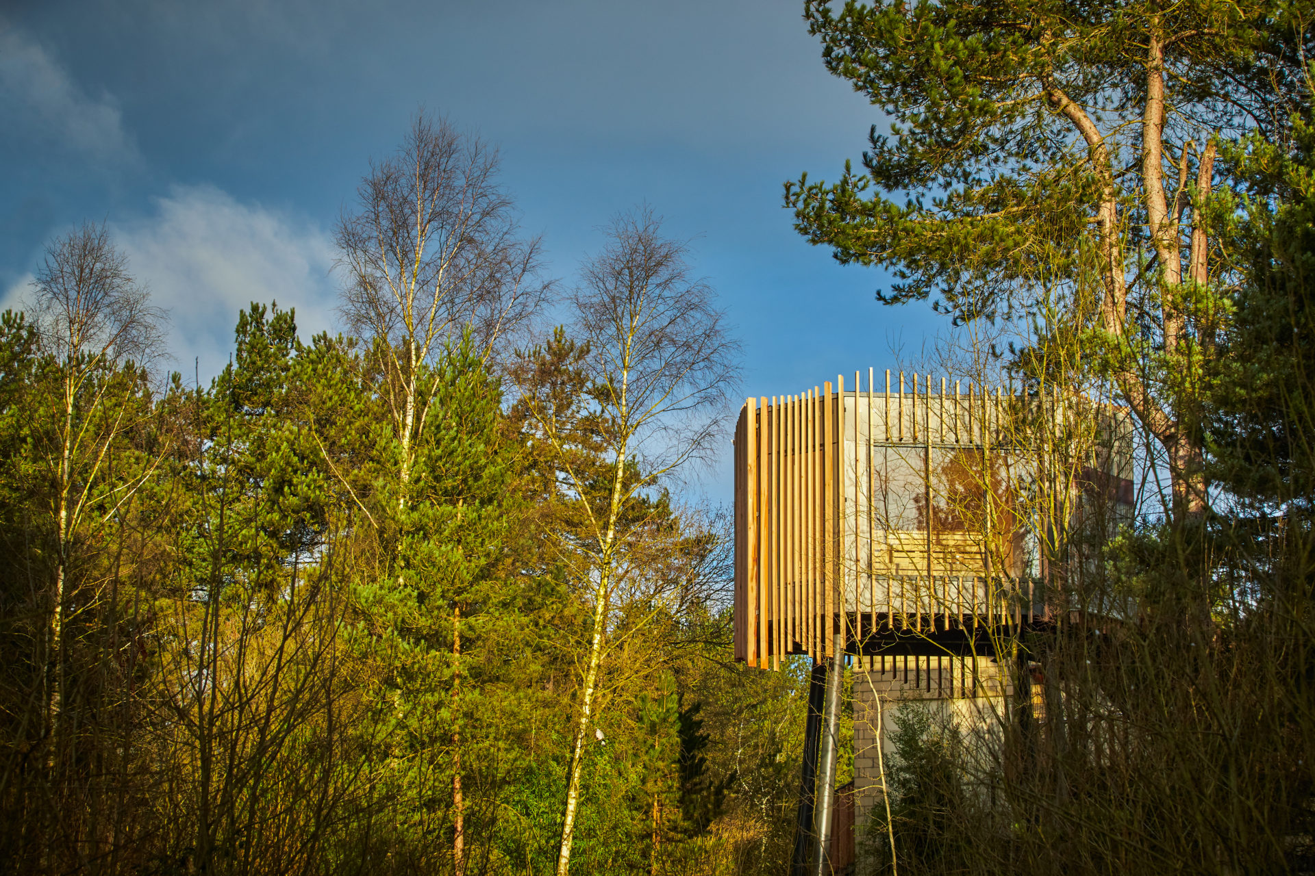 Treetop sauna at the Longford Forest resort