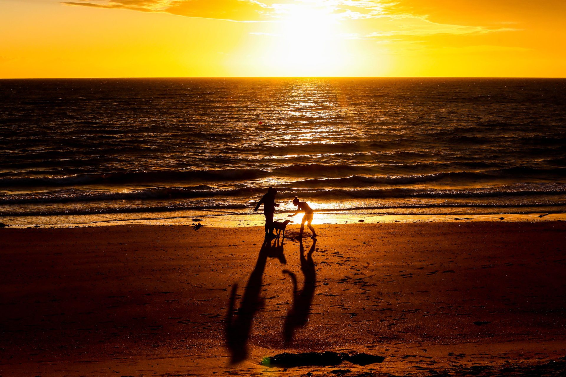 A dog greets its owners after they had a swim in the Irish Sea during sunrise on Summer Solstice