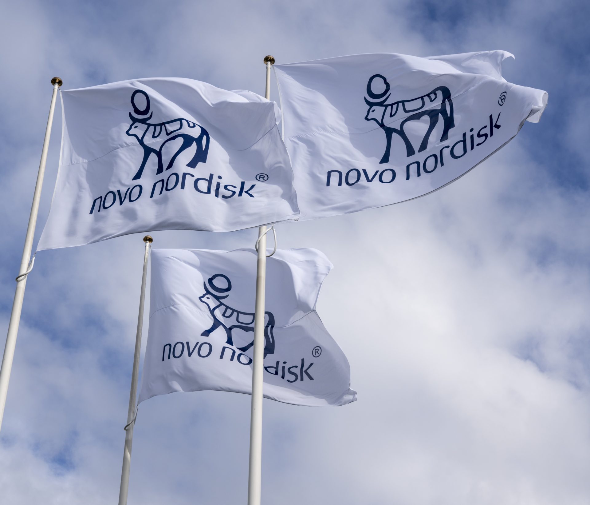 Novo Nordisk logo on flags