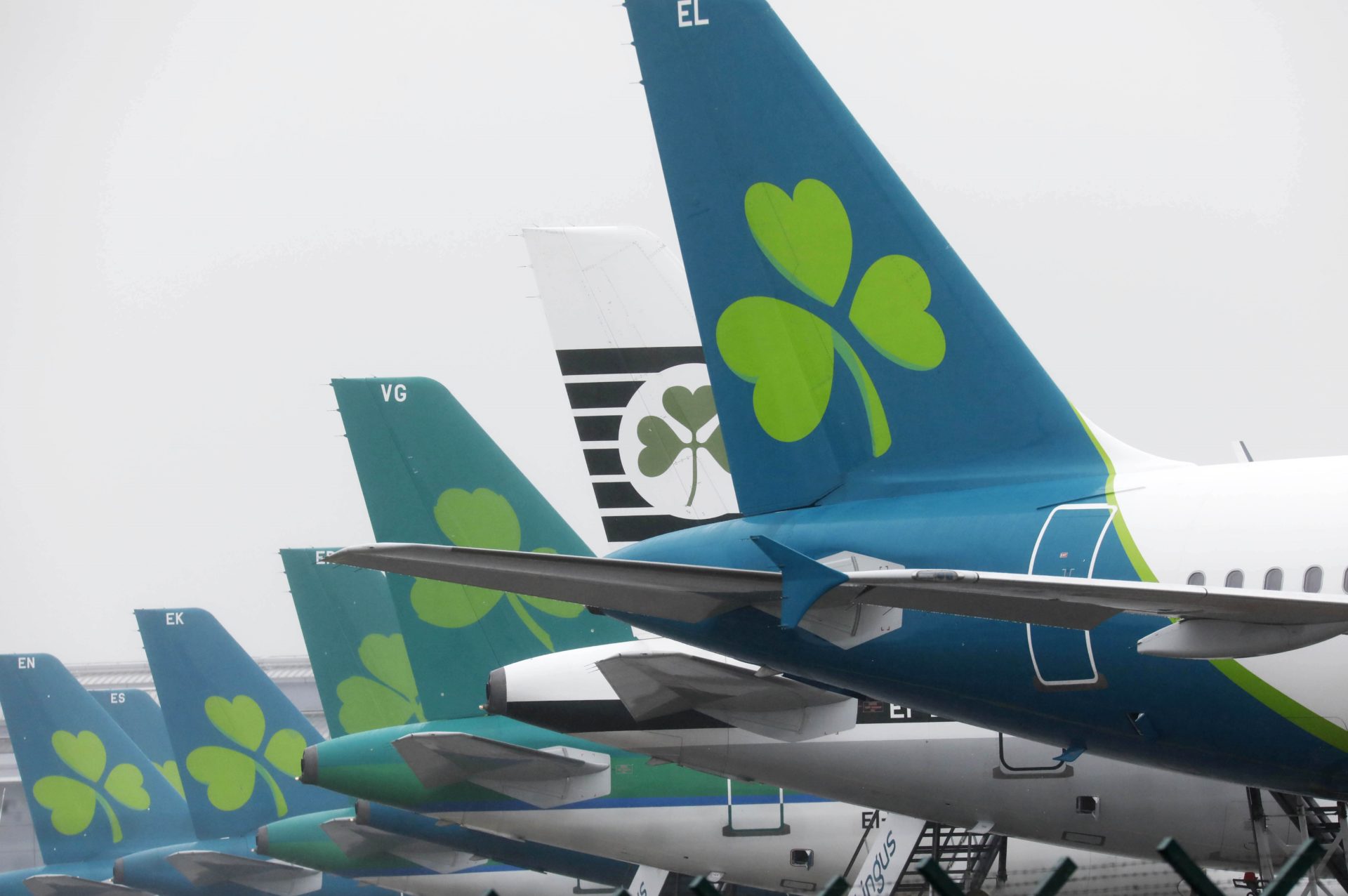 Rows of Aer Lingus planes on standby at Dublin Airport, 29-6-24