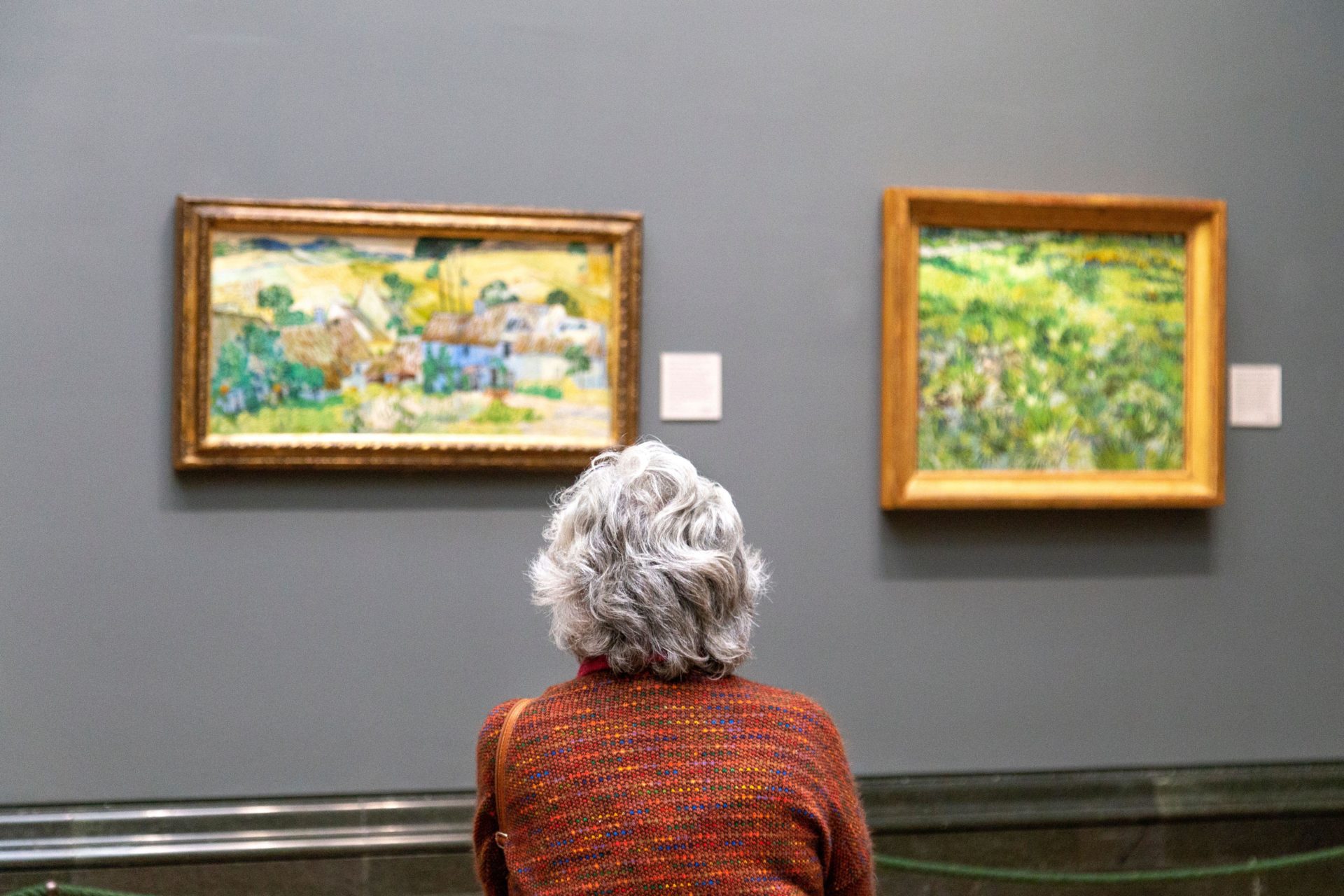 Woman with grey hair at art gallery. Image: Nathaniel Noir / Alamy Stock Photo 