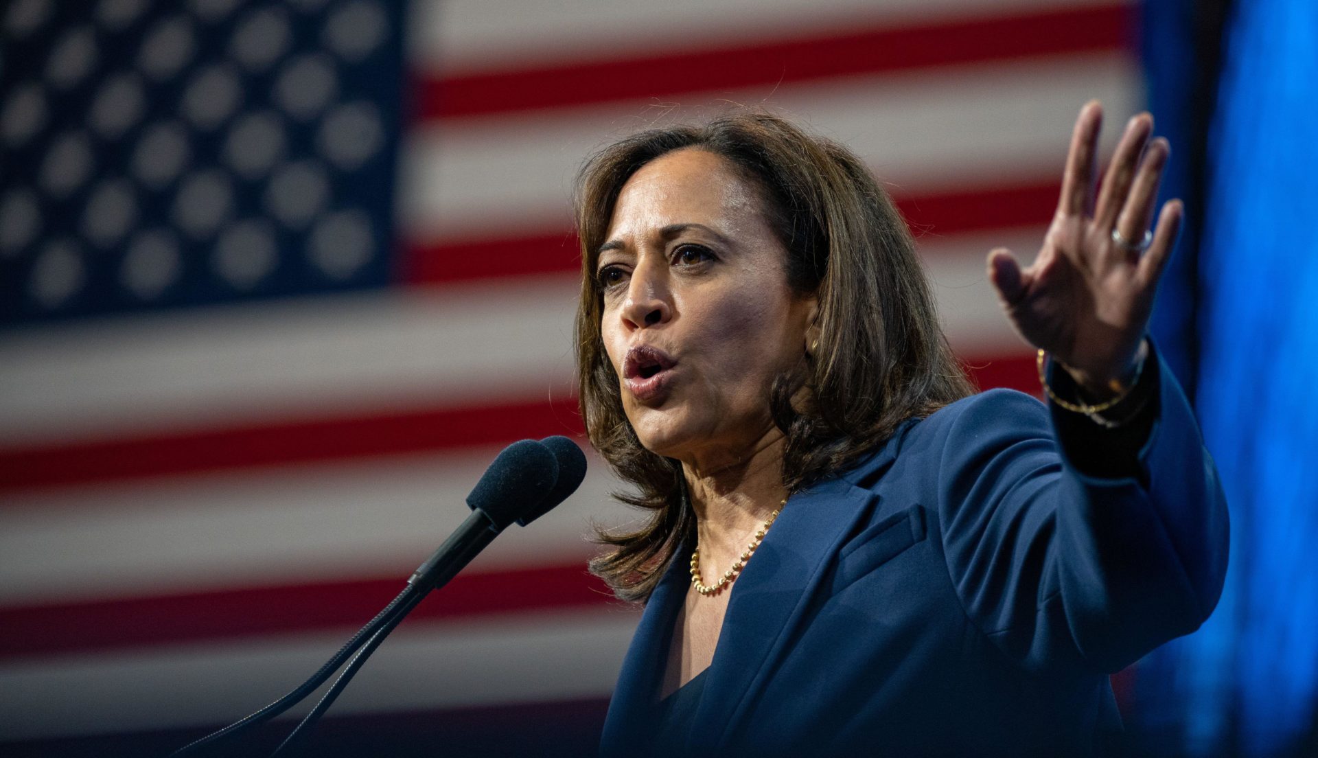 Kamala Harris speaking at Manchester, New Hampshire. Image: Keiko Hiromi/AFLO/Alamy Live News