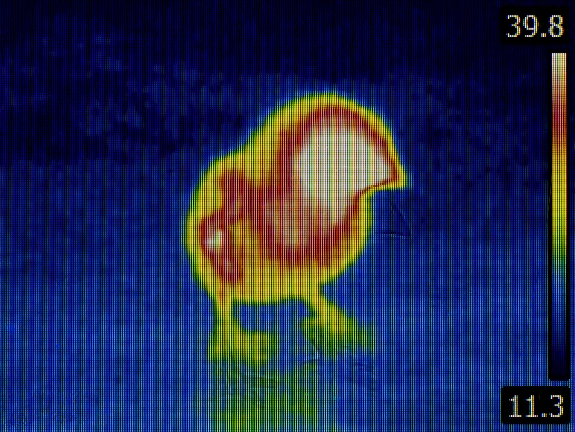 Bird Flu Infrared