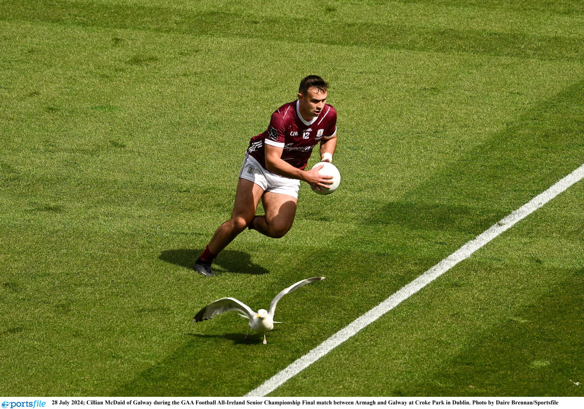 Cillian McDaid of Galway and a seagull during the GAA Football All-Ireland Senior Championship Final match between Armagh and Galway at Croke Park in Dublin. Photo by Daire Brennan/Sportsfile