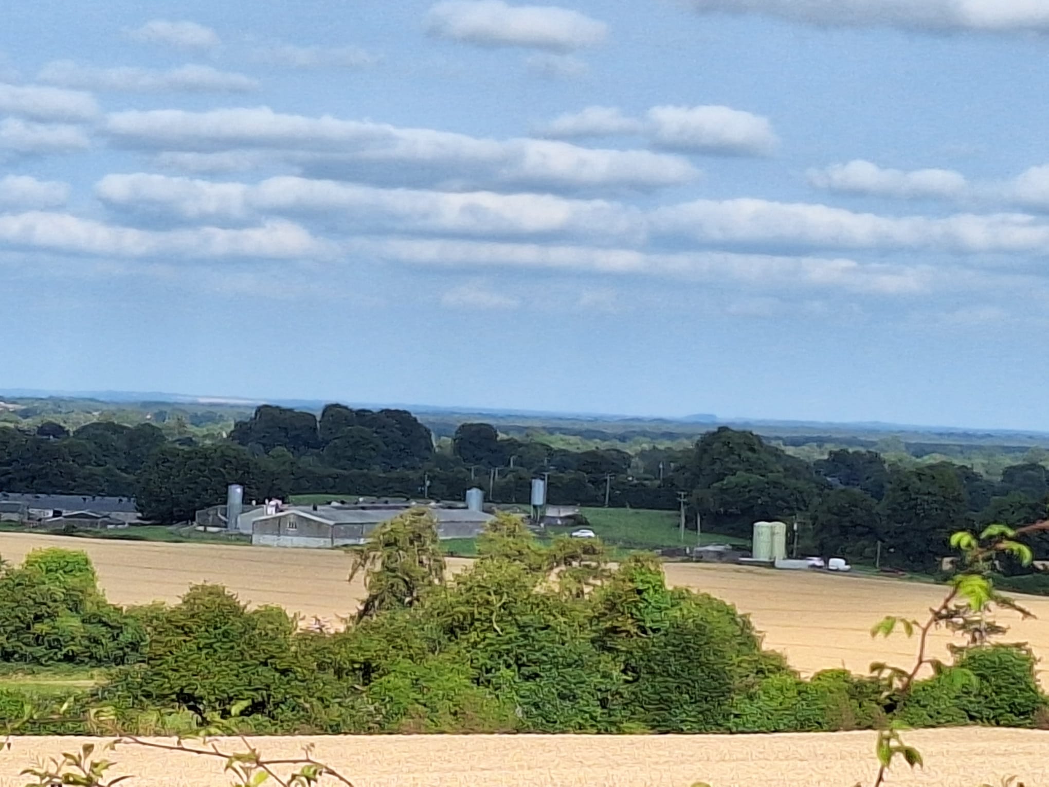 The farmland where the helicopter came down in Co Westmeath, 30-7-24