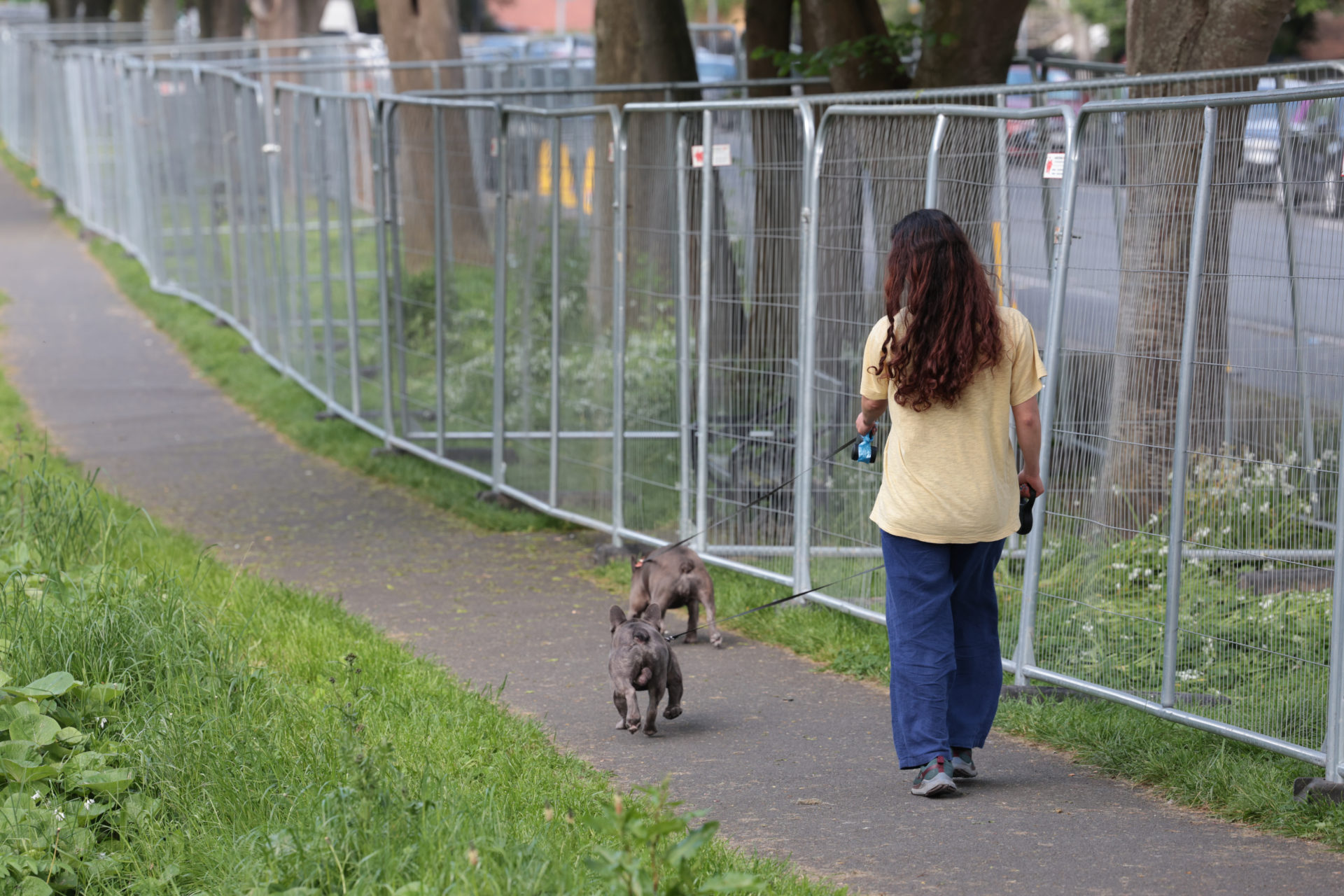 A woman walks her dogs beside anti-asylum seeker tent barriers on the Grand Canal in Dublin, 09-05-2024. Image: 09/05/2024. Image: Leah Farrell/RollingNews