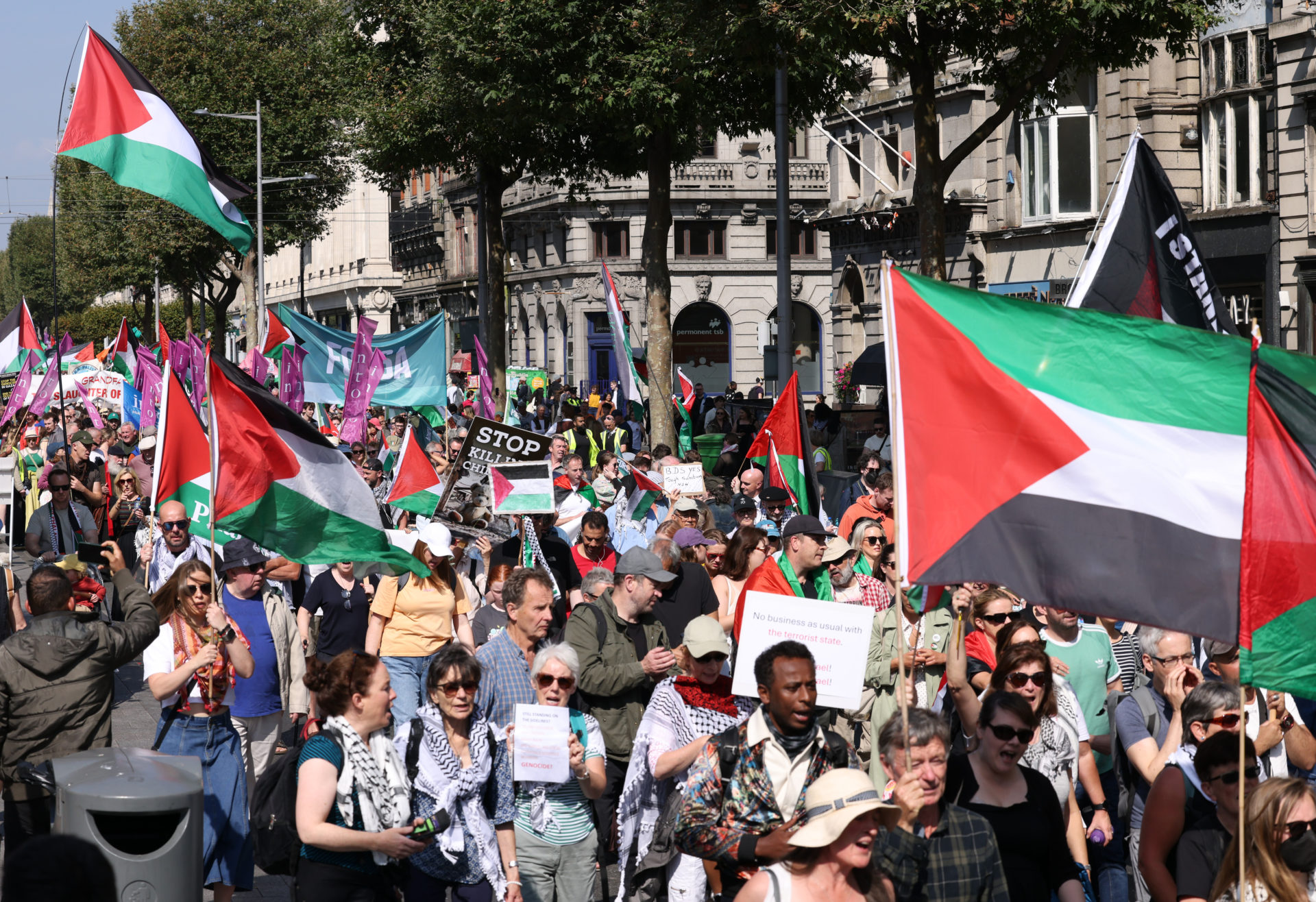 National Demonstration for Palestine in Dublin, 31/08/2024. Image: Leon Farrell/© RollingNews.ie