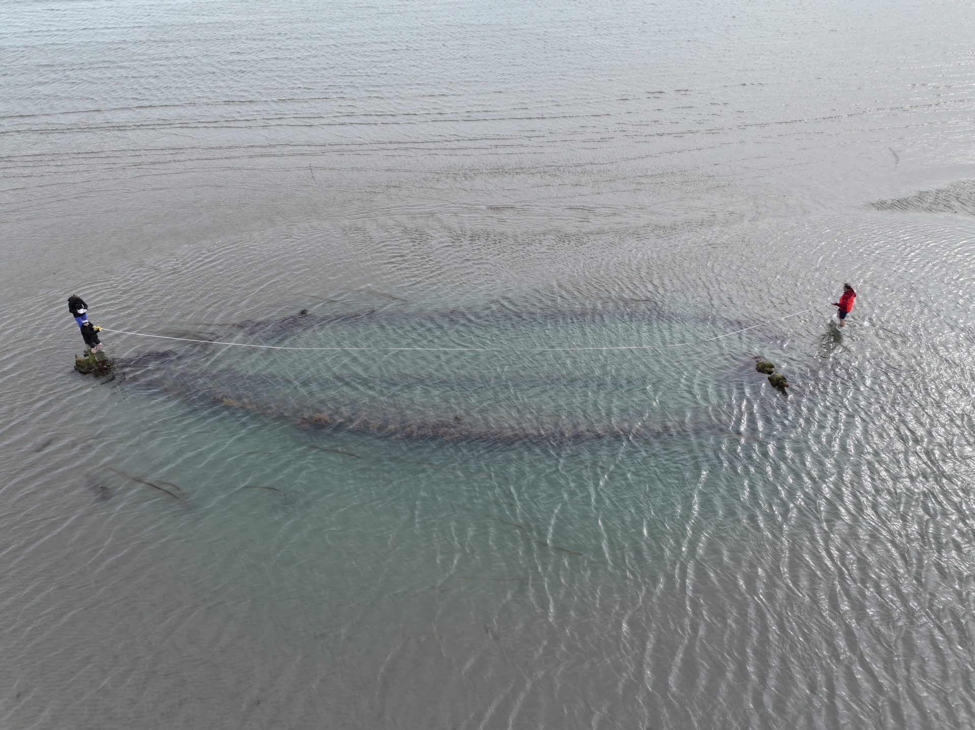 One of the shipwrecks on Dublin's Portmarnock Beach