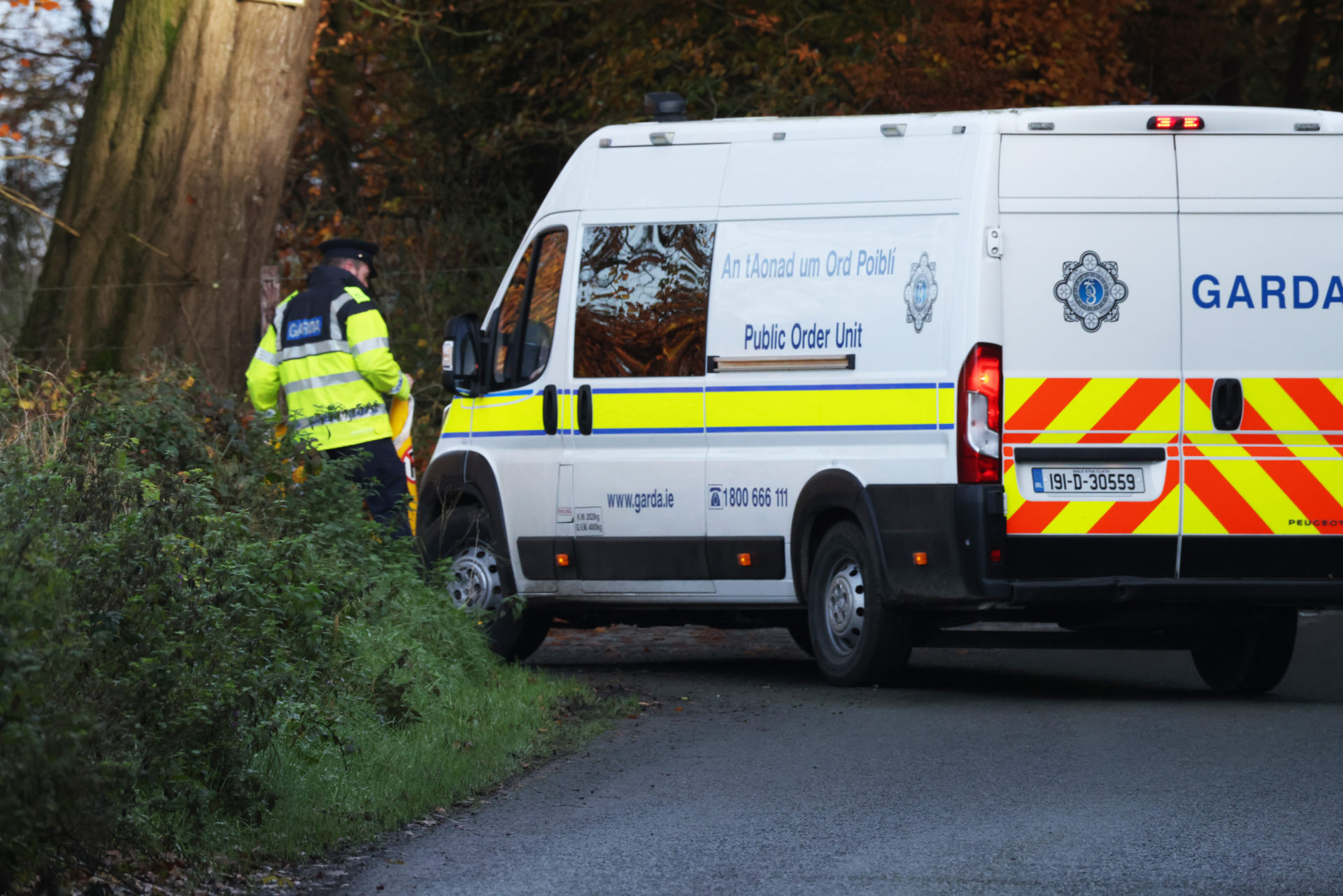 Gardaí carry out searches for Jo Jo Dullard in the Ballyhook area of Grangecon in County Wicklow