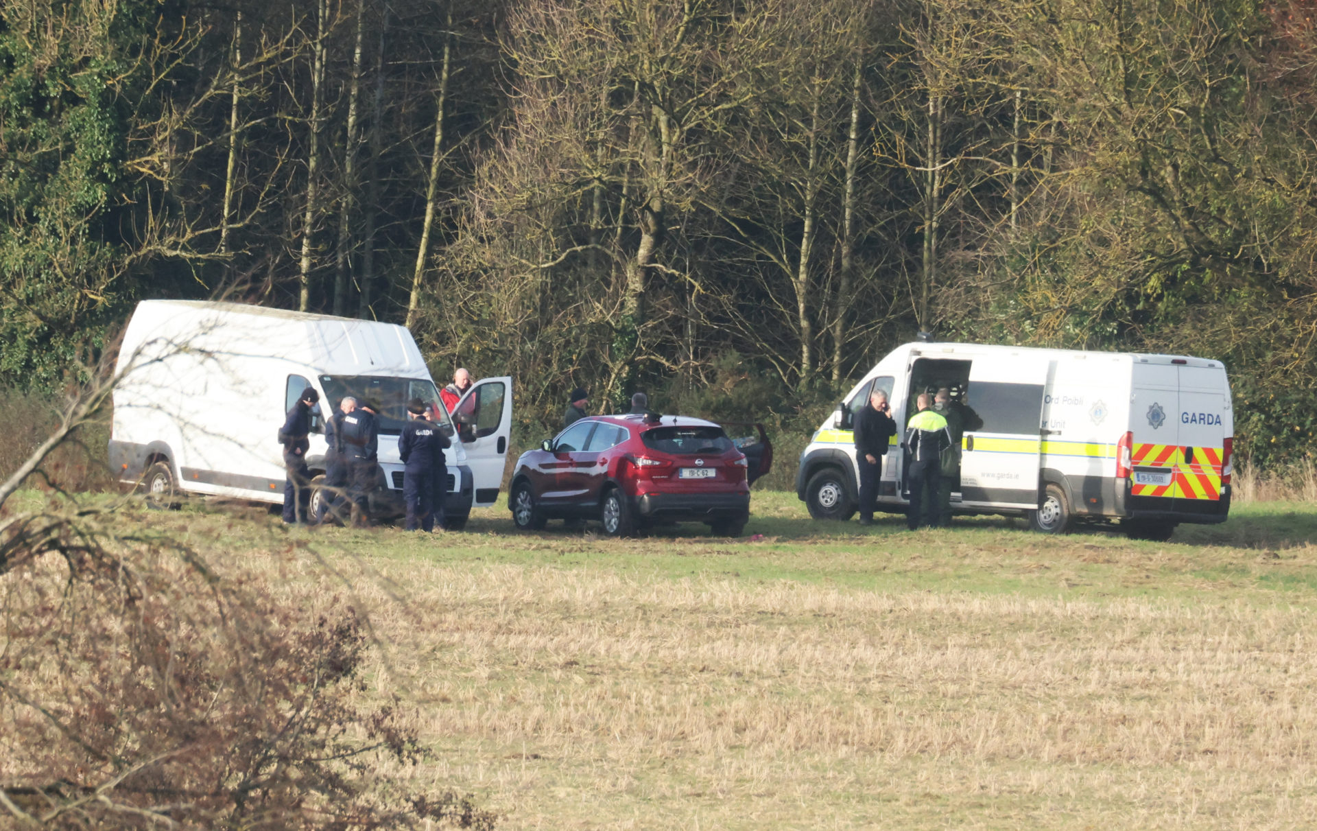 Gardaí carry out searches for Jo Jo Dullard in the Ballyhook area of Grangecon in County Wicklow