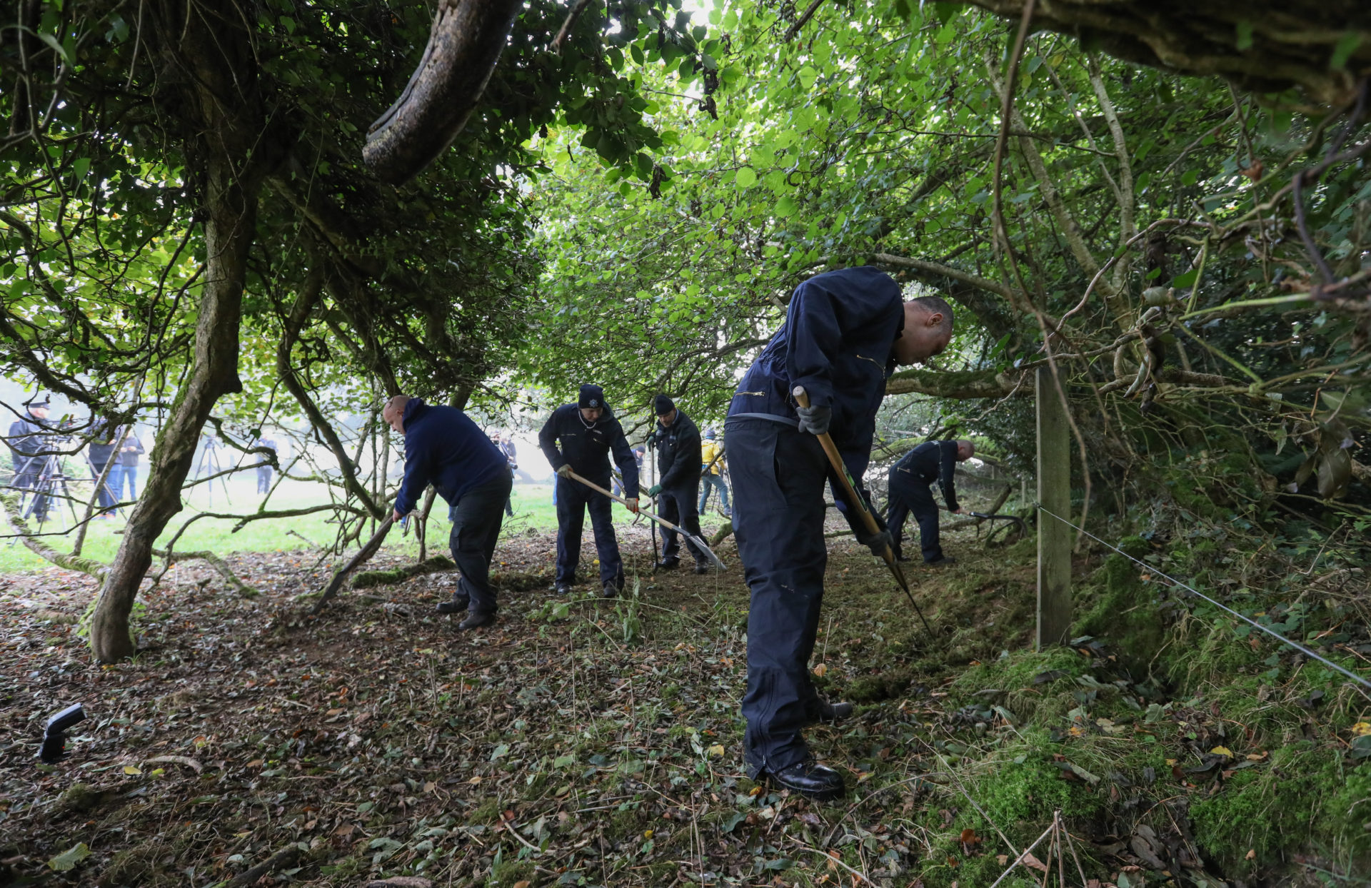 Gardai searching a wooded area near Usk Little, Kildare