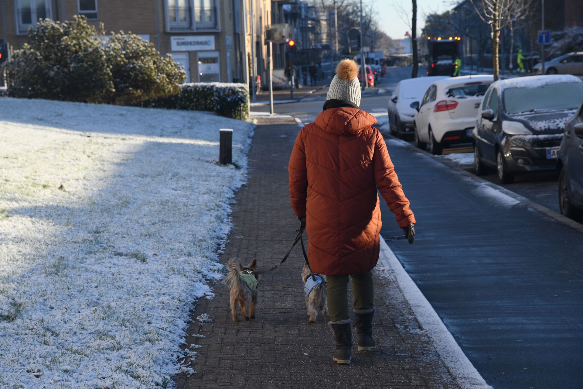 Charities urge people to keep pets warm as temperatures plummet