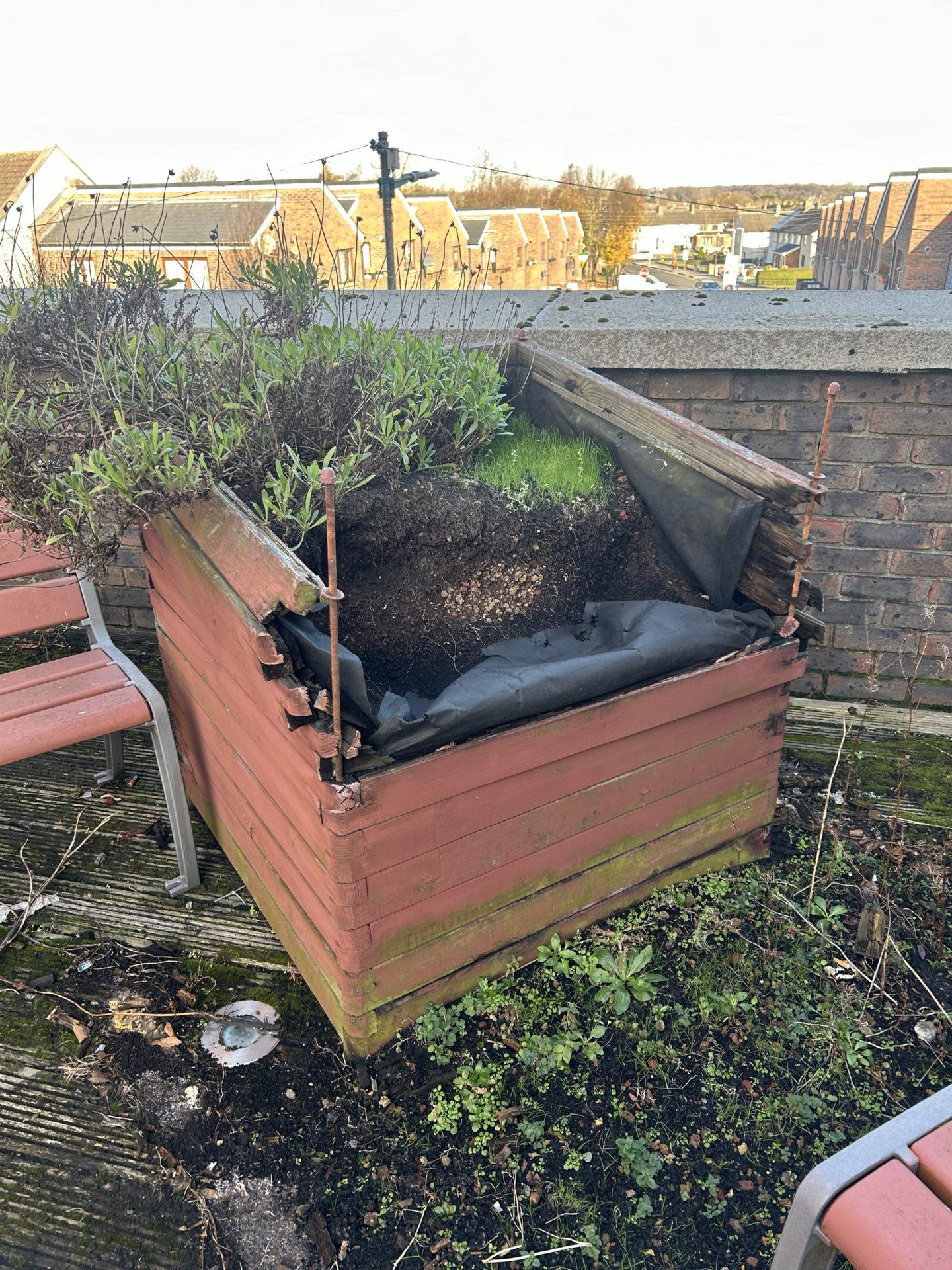 A broken plant bed in the rooftop garden at Claddagh Court.