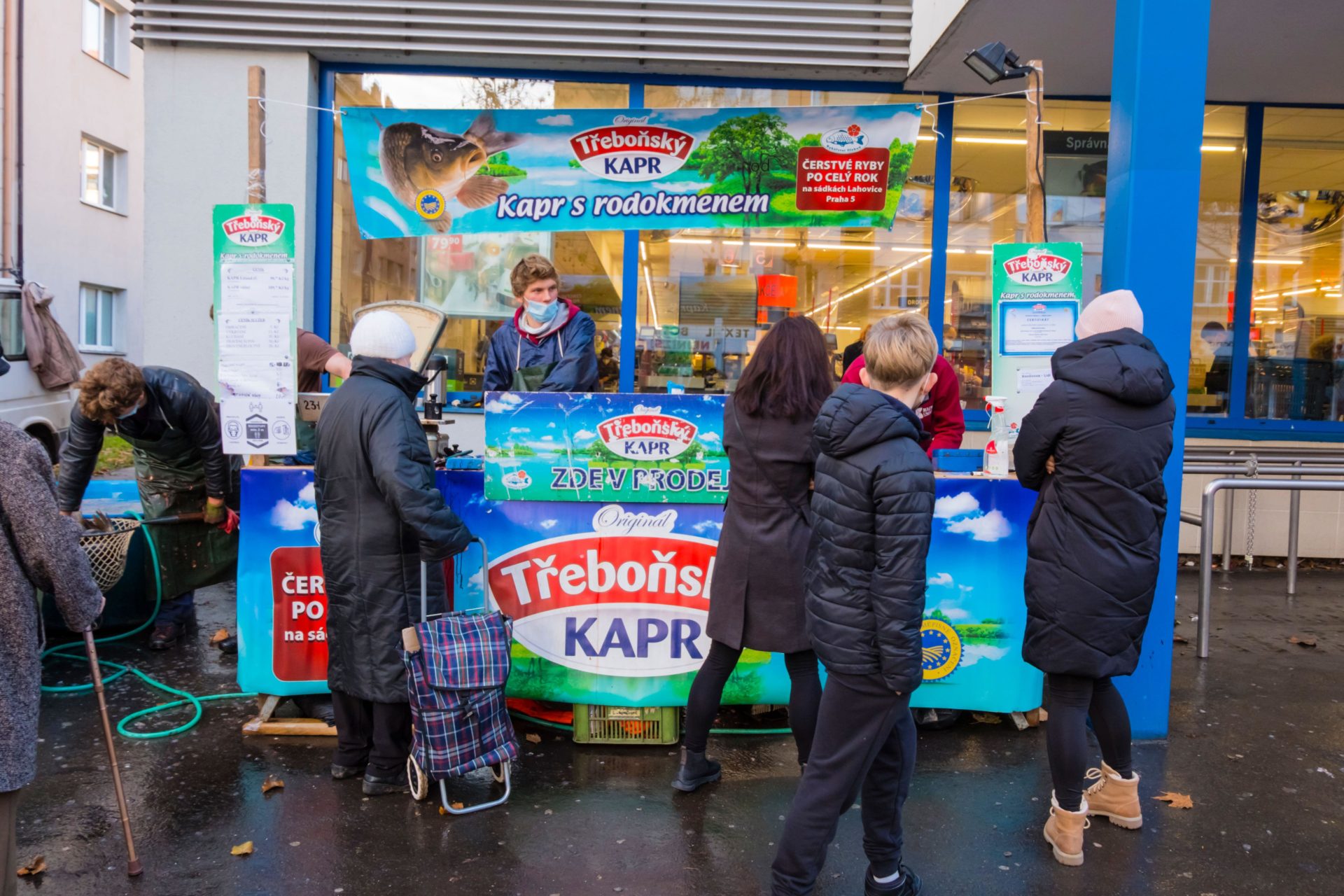 Stall selling carp before Christmas, Zizkov, Prague, Czech Republic. Image: Alamy