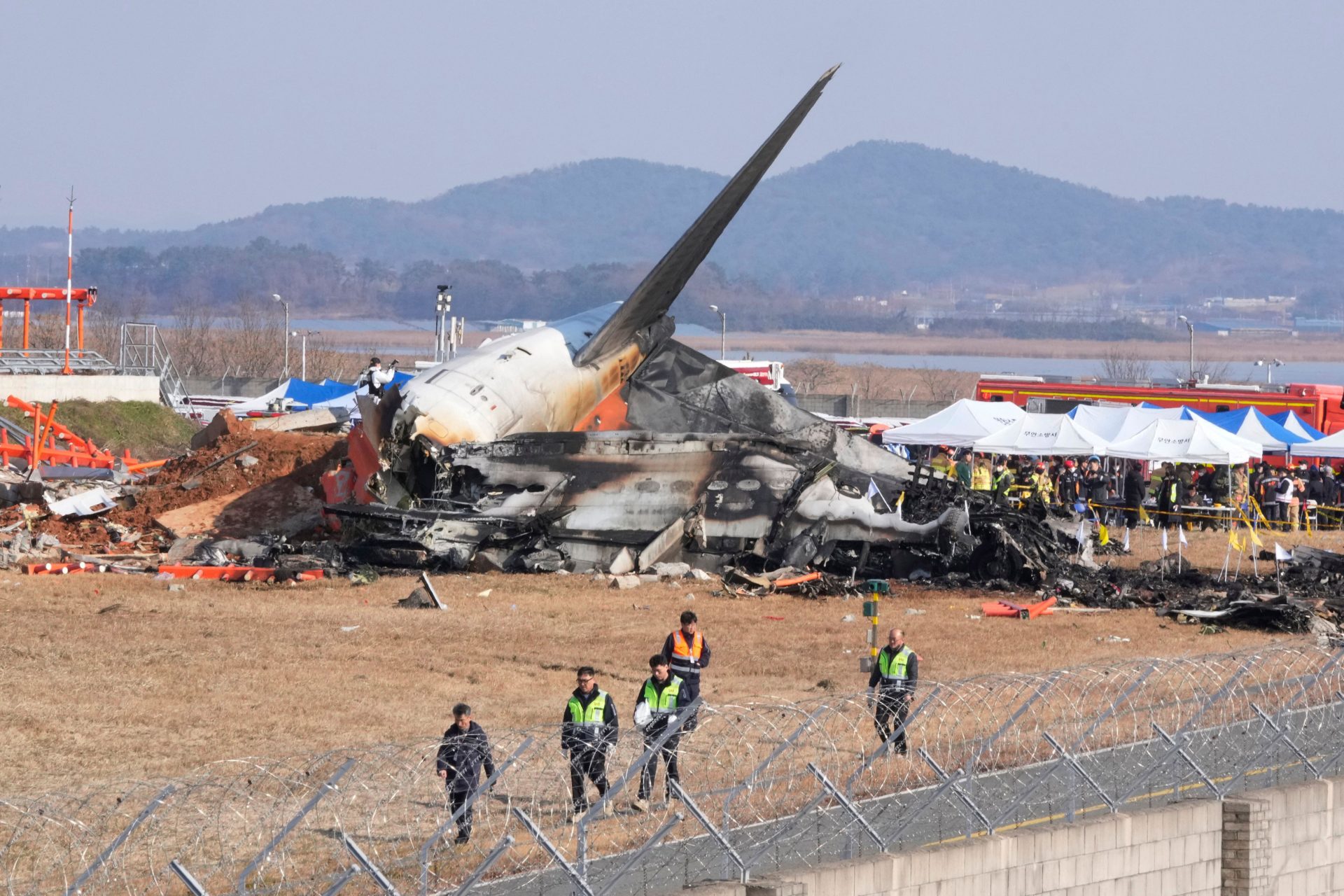 Bird strike suspected to be responsible for South Korean plane crash ...