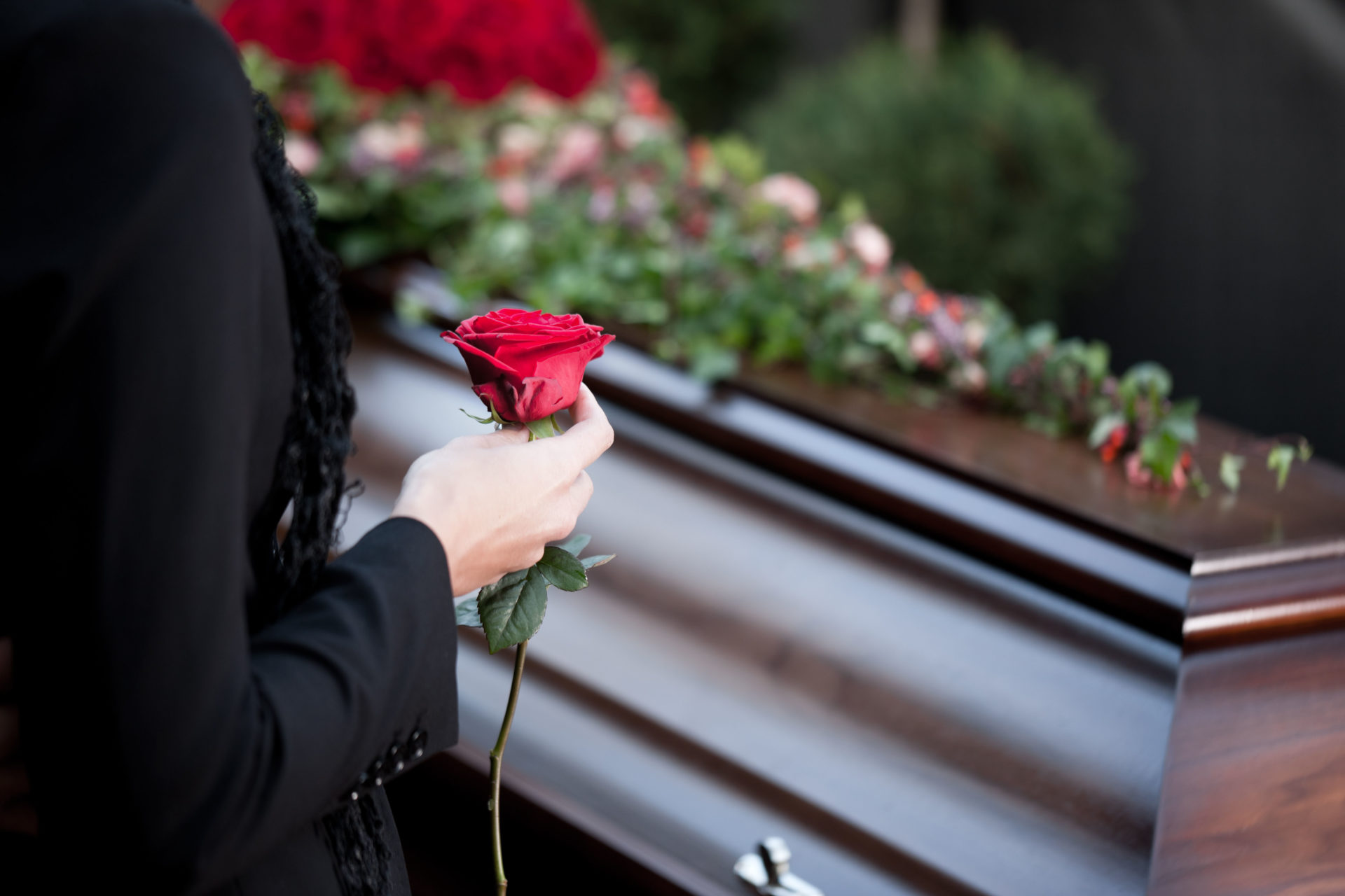 A mourner holds a rose next to a coffin