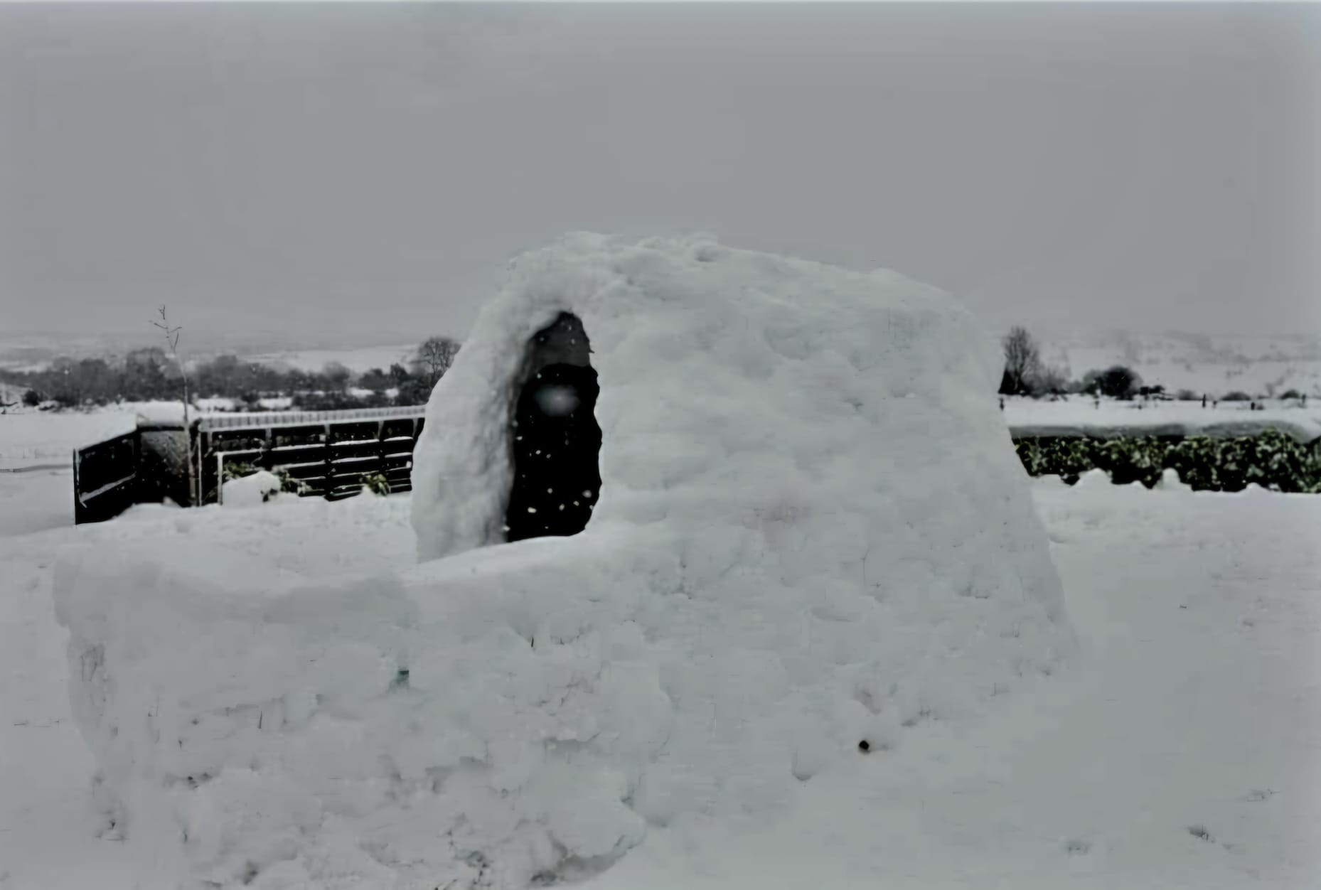 An igloo built by three students in Cork. 7/1/25