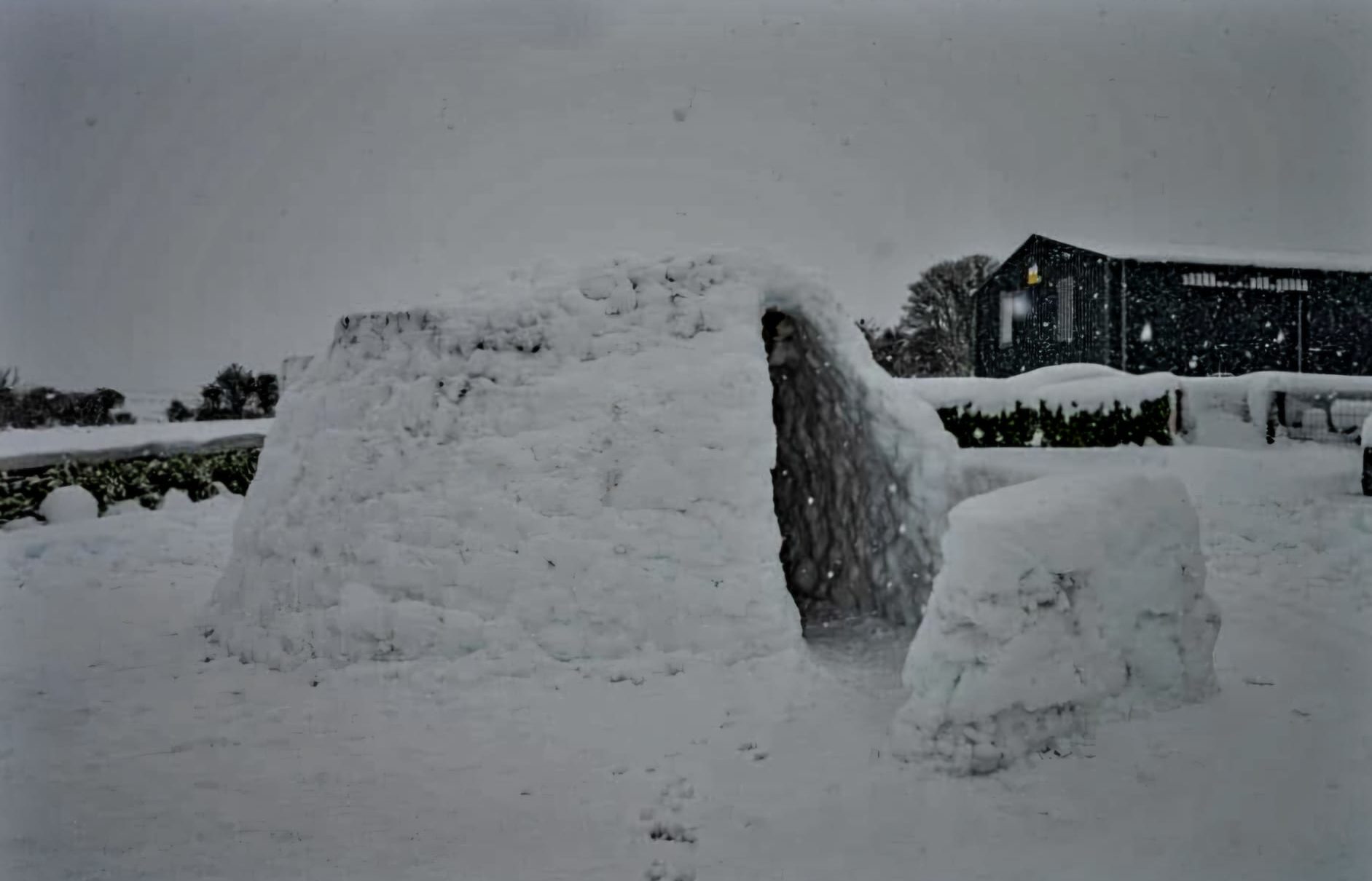 An igloo built by three students in Cork. 7/1/25