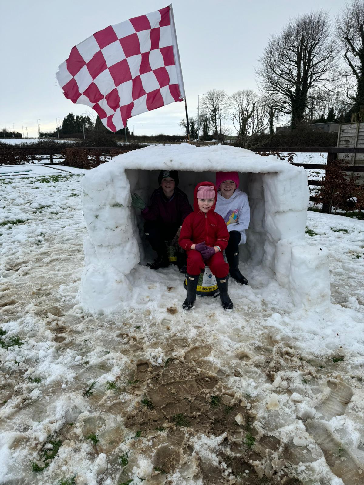 Amelia,Harry & Charlotte McKee  who made their own igloo in Kilkenny. 7/1/25