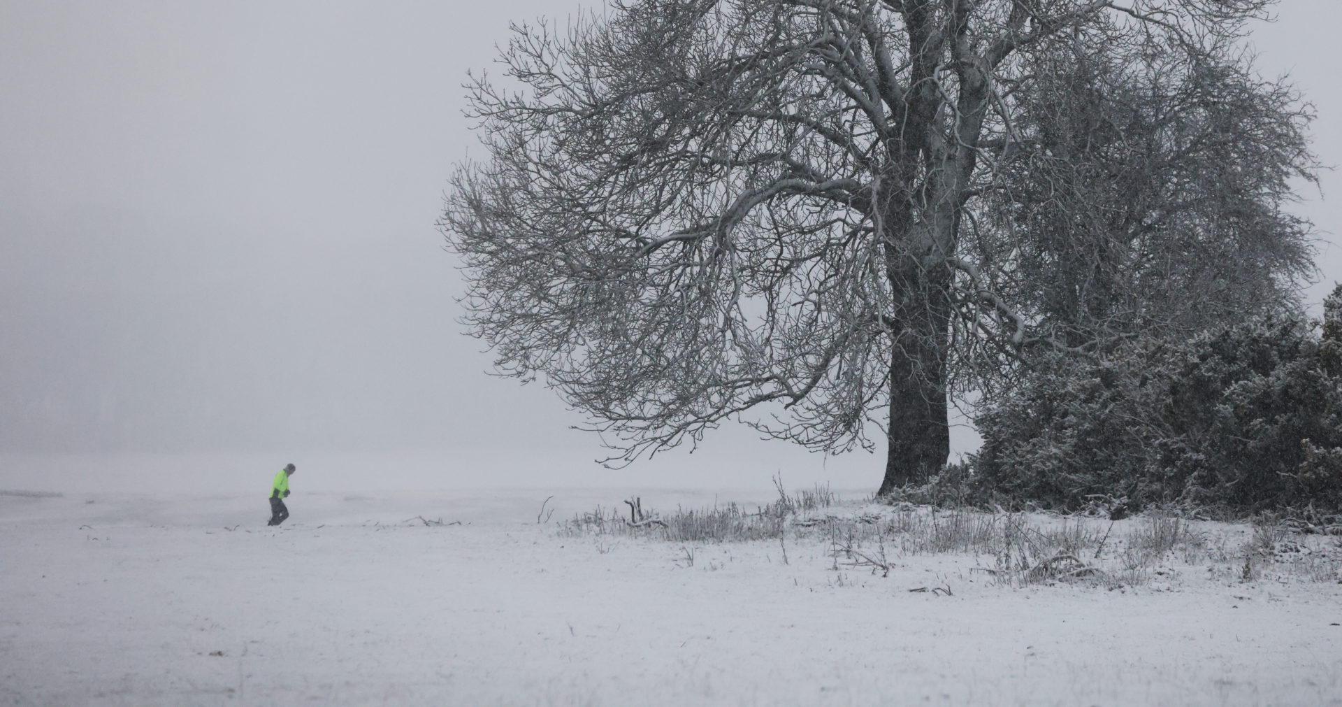 A runner in the snow in Kildare