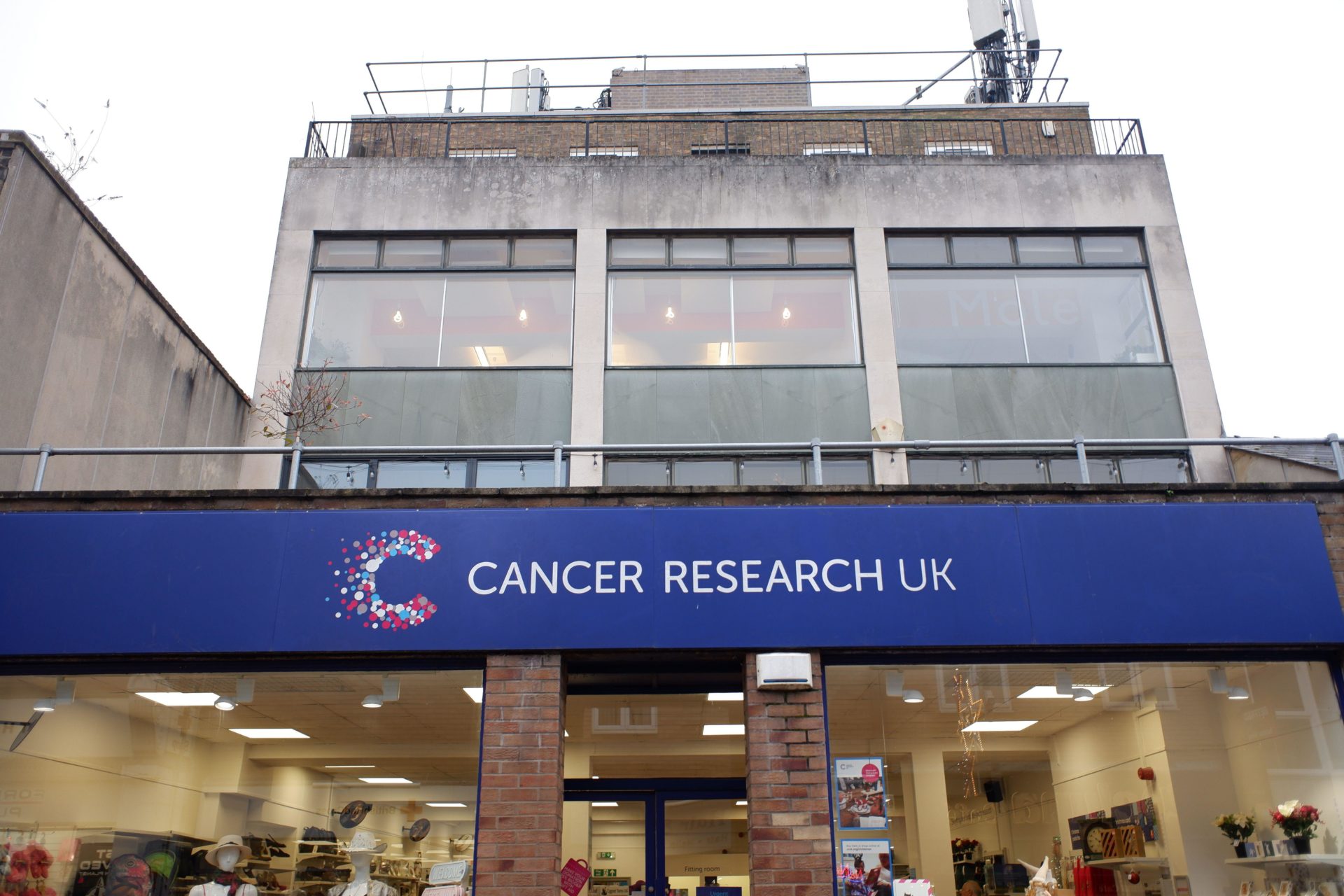 A Charity Shop in the high street - Cancer Research. 13/12/2024 Image: Alamy