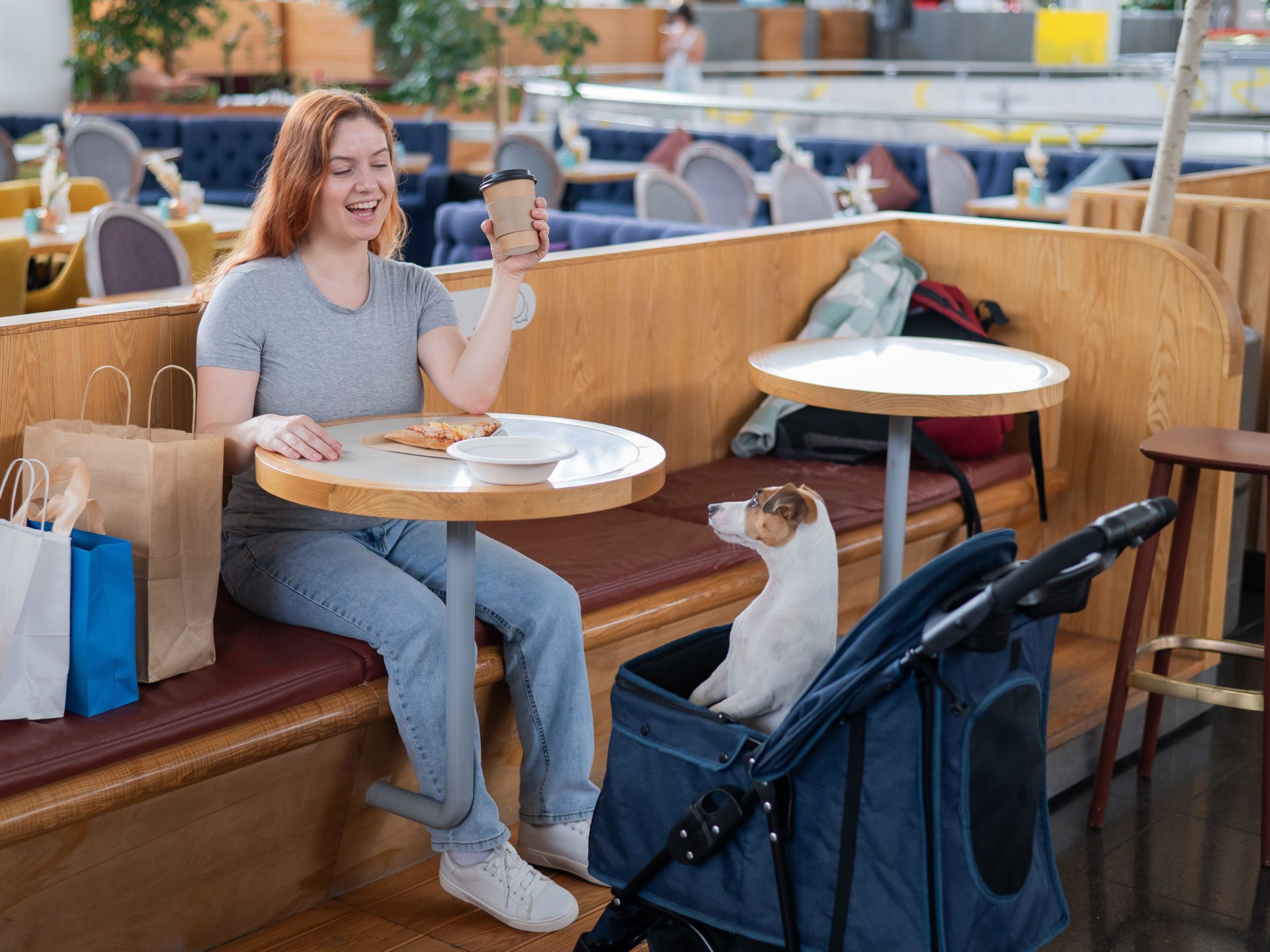 Woman having lunch in a cafe with her Jack Russell terrier dog in a stroller. Image: Alamy