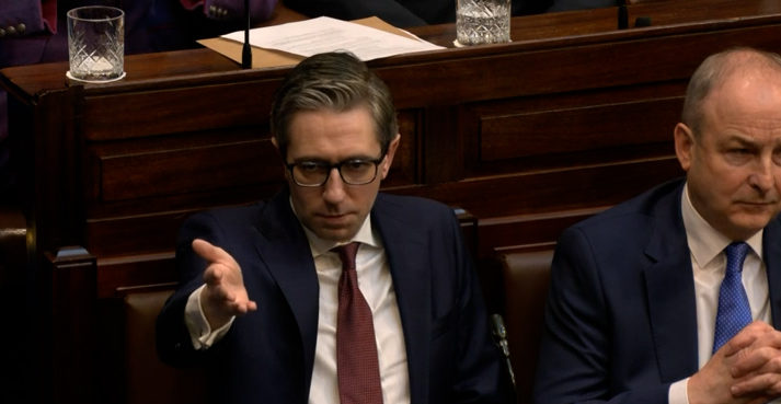 Outgoing Taoiseach Simon Harris with Micheál Martin in Leinster House.