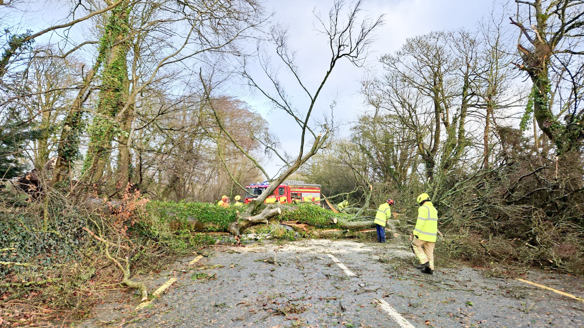 Ashbourne brigade attending a tree down on the N2. 