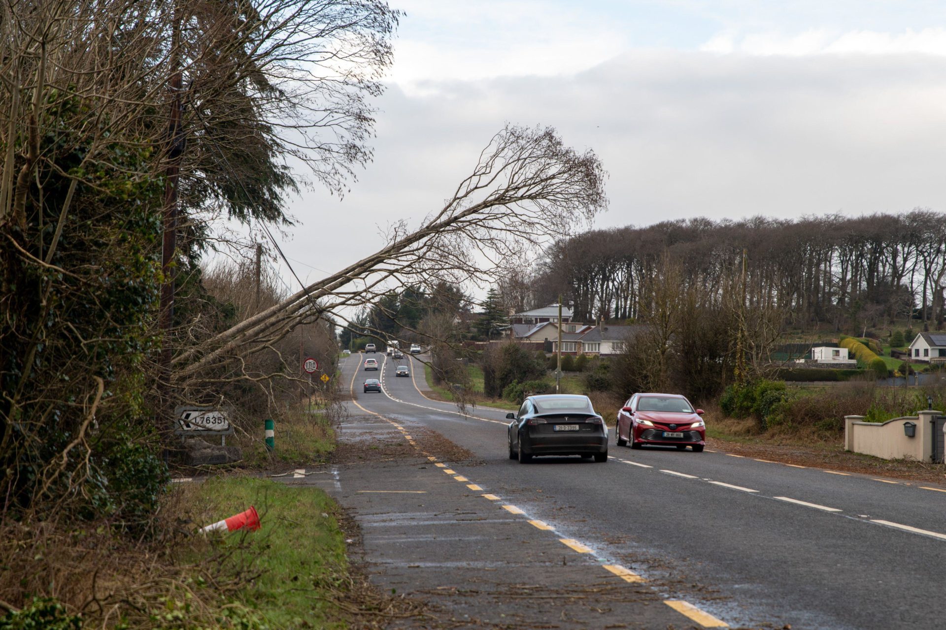 A fallen tree leans dangerously across the Rosscommon Road near Athlone is being held up by power lines due to storm Eowyn.