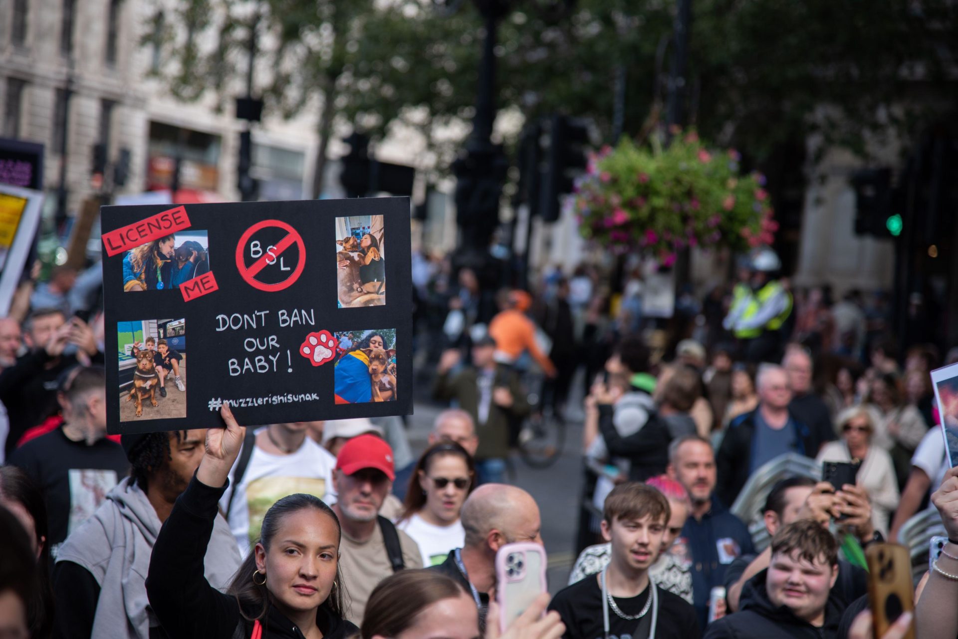 Protestors march with placard during the XL Bully Protest. 