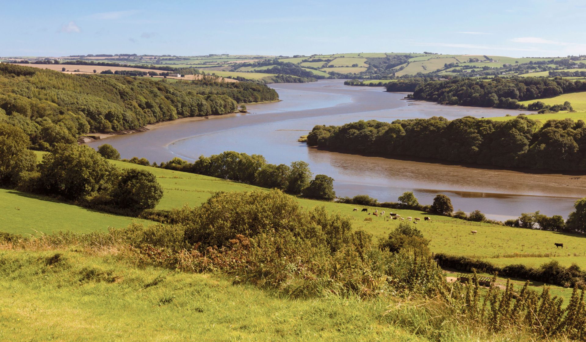 River Bandon